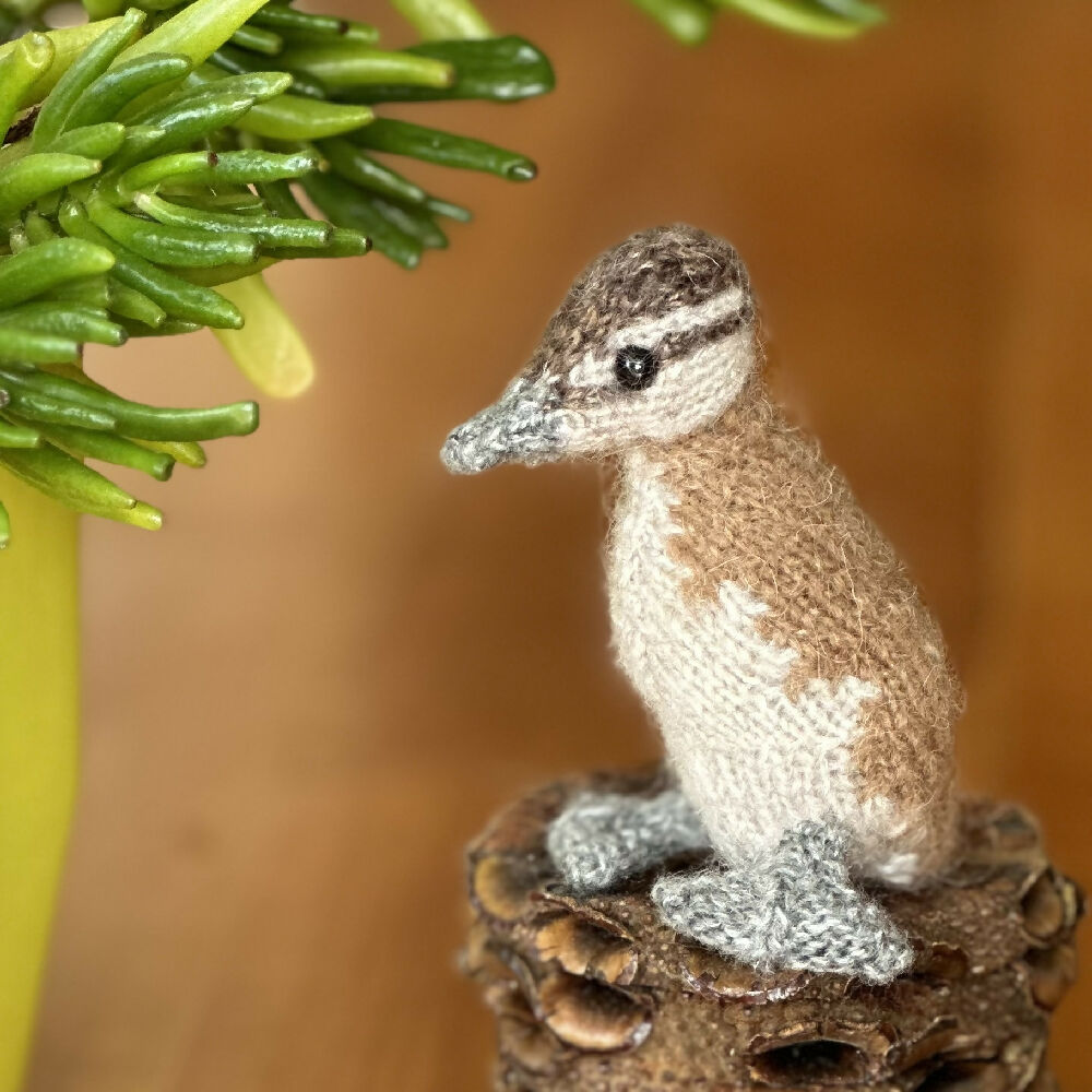 Australian Wood Duck Fibre Art Gift Brushed Alpaca