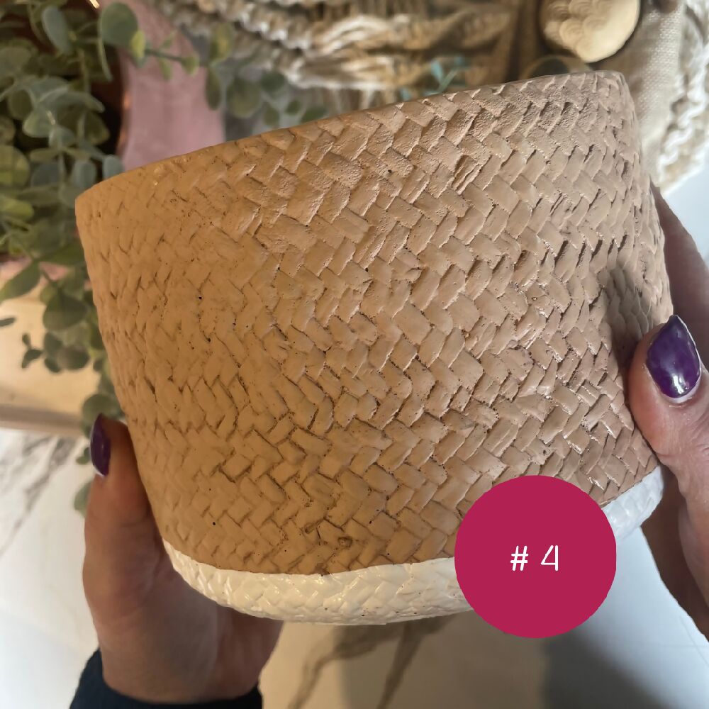 thumbnail_03D2B779-2177-412C-B350-7DD06B44EE56