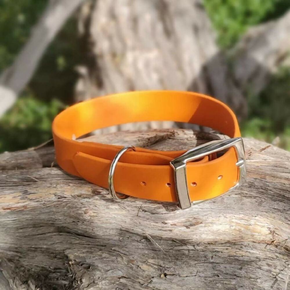 Waterproof dog collar - Bright Colours