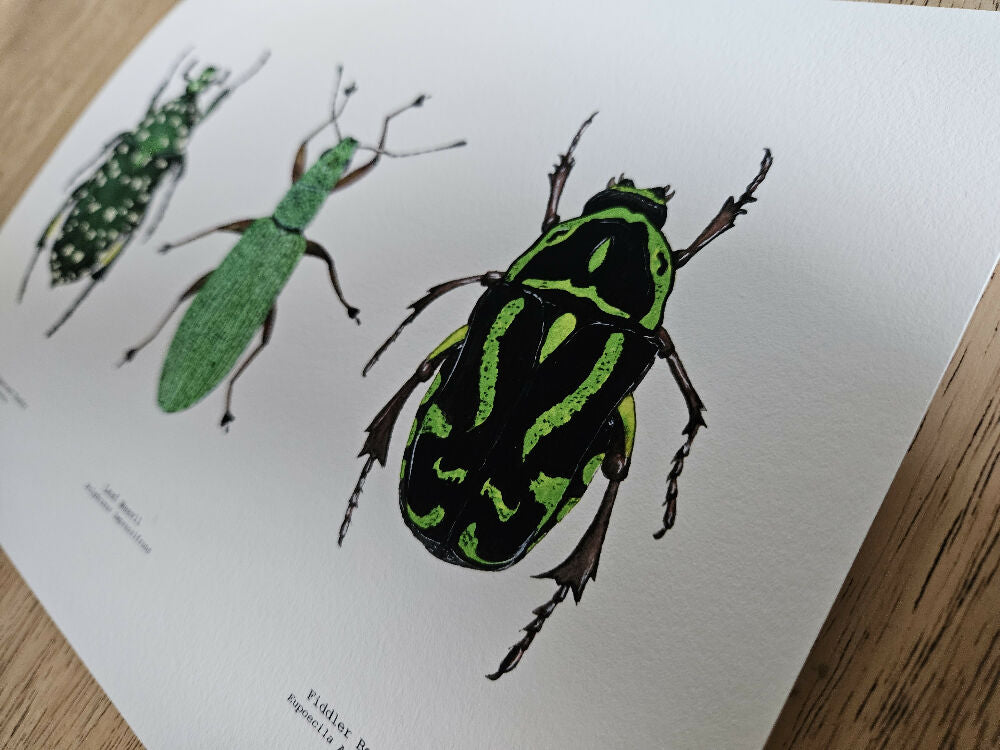 the fauna series - green bug trio