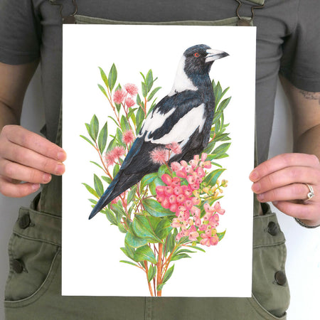 Australian Magpie Art Print