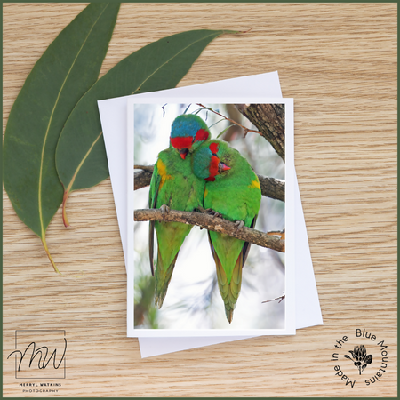 Blank Greeting Card - Musk Lorikeets Photo