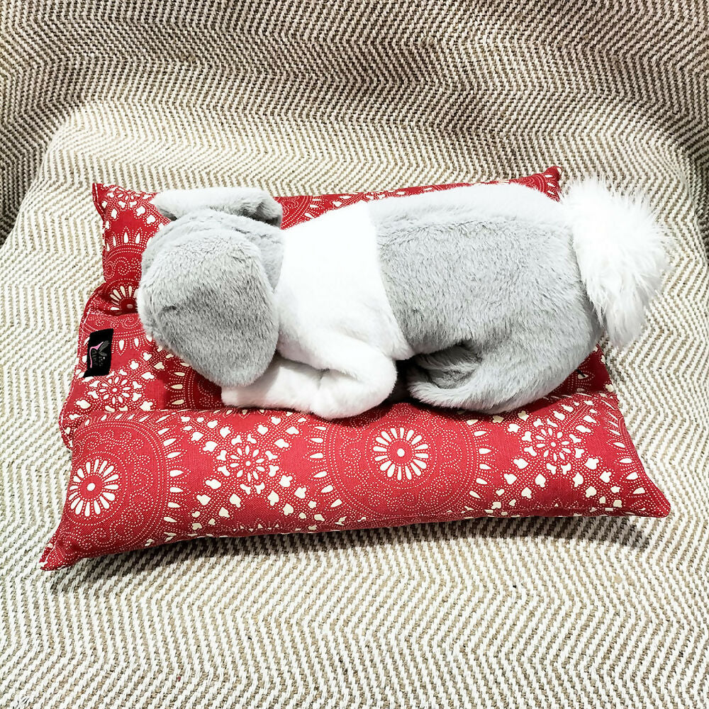 IMG20240404142316 madeit 1024, image 3 , 26 brighter