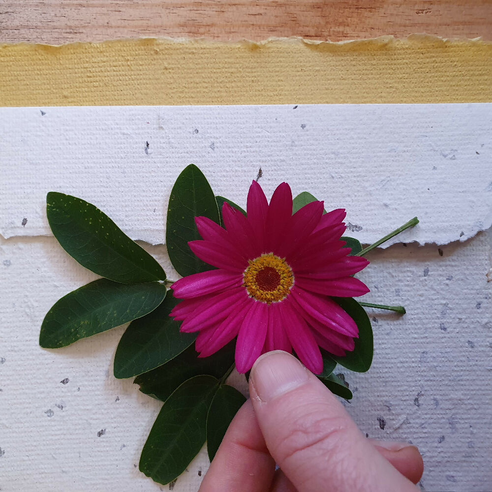 stationery peppermint envelope 5-edit-20240716154651