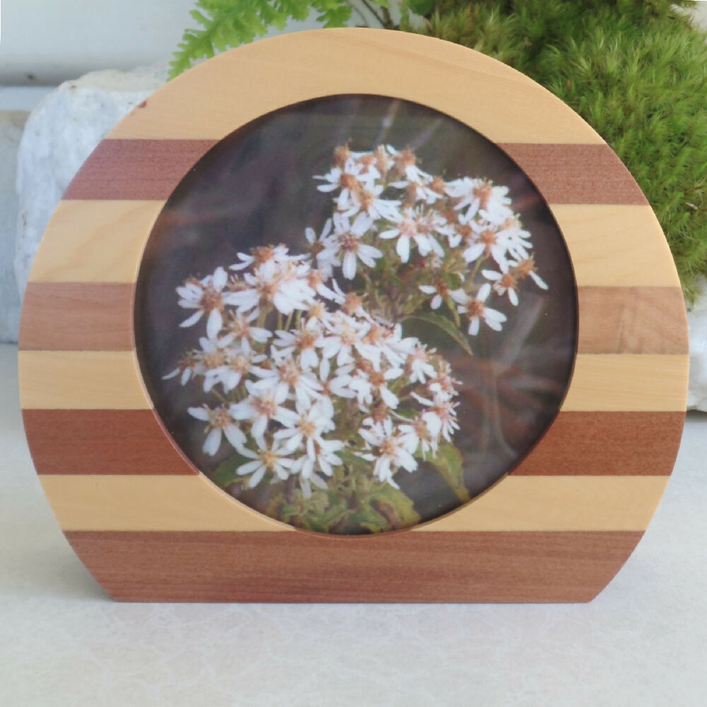 Larger Rounded Photo Frame- Tasmanian Myrtle & Huon Pine