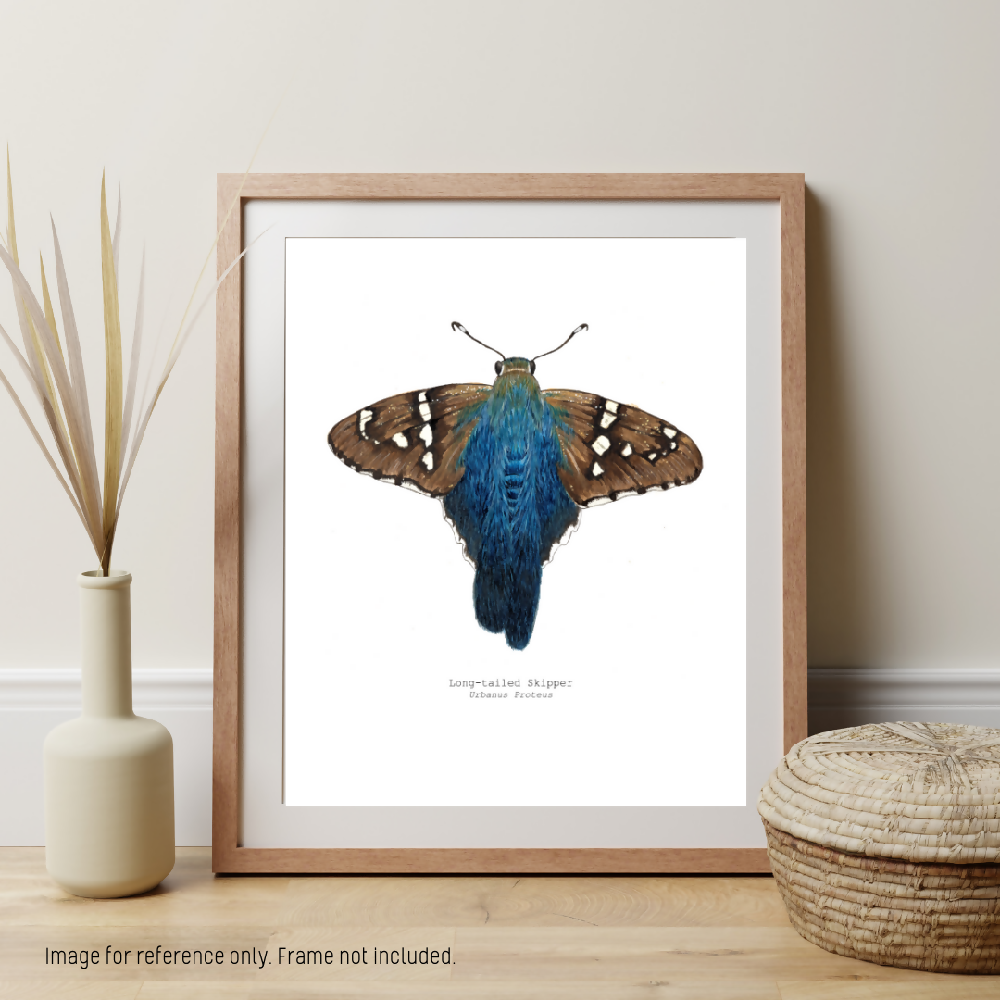 the fauna series - long-tailed skipper butterfly