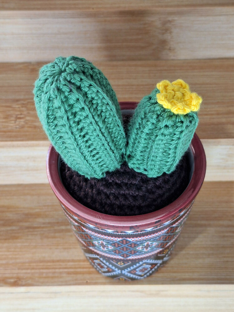 crocheted cactus