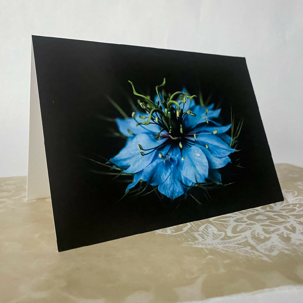 floral photography blank card
