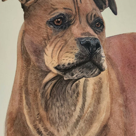 Watercolour Pet Portrait Commission