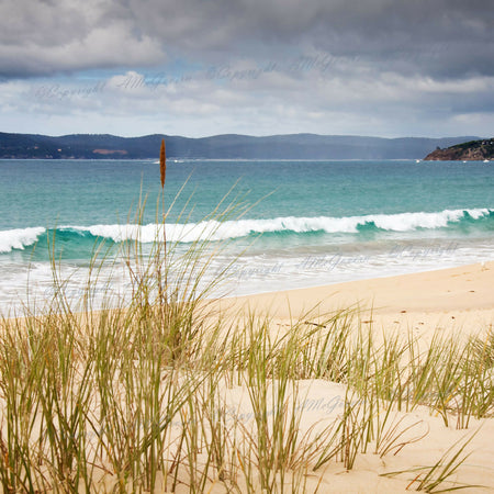 Australian Made | Photographic Print | Wall Art