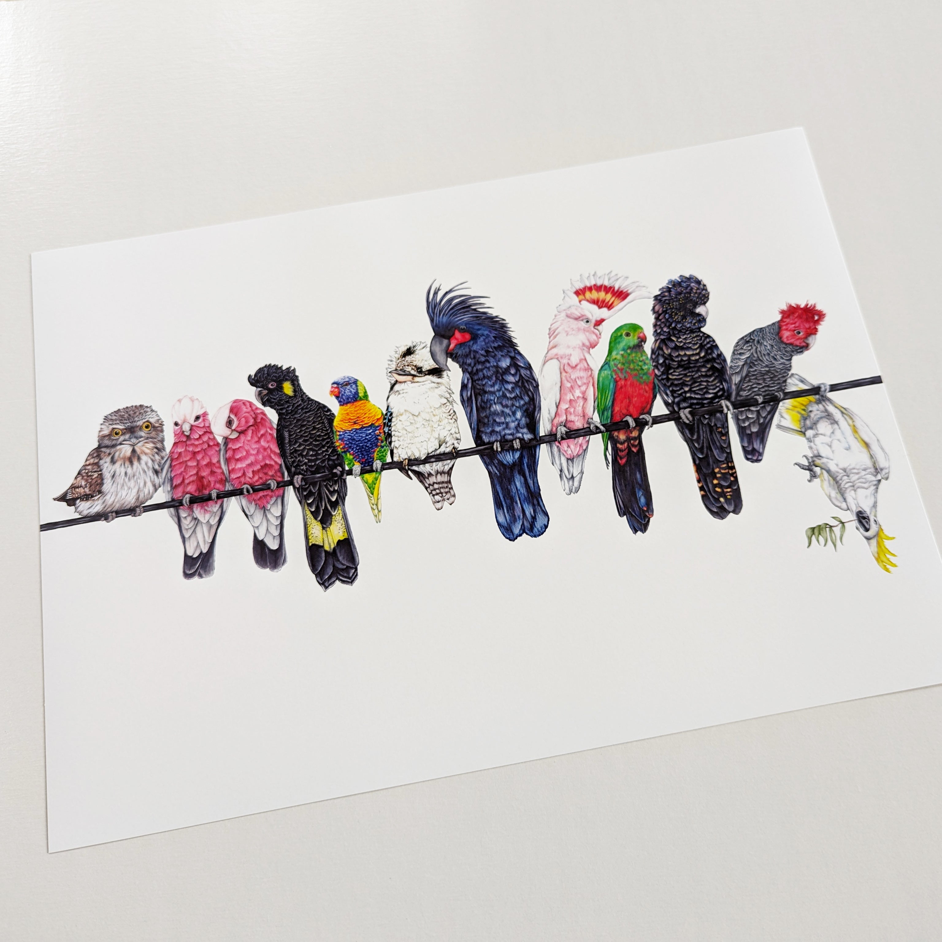 Australian Native Birds on a Line, Landscape A3 Size