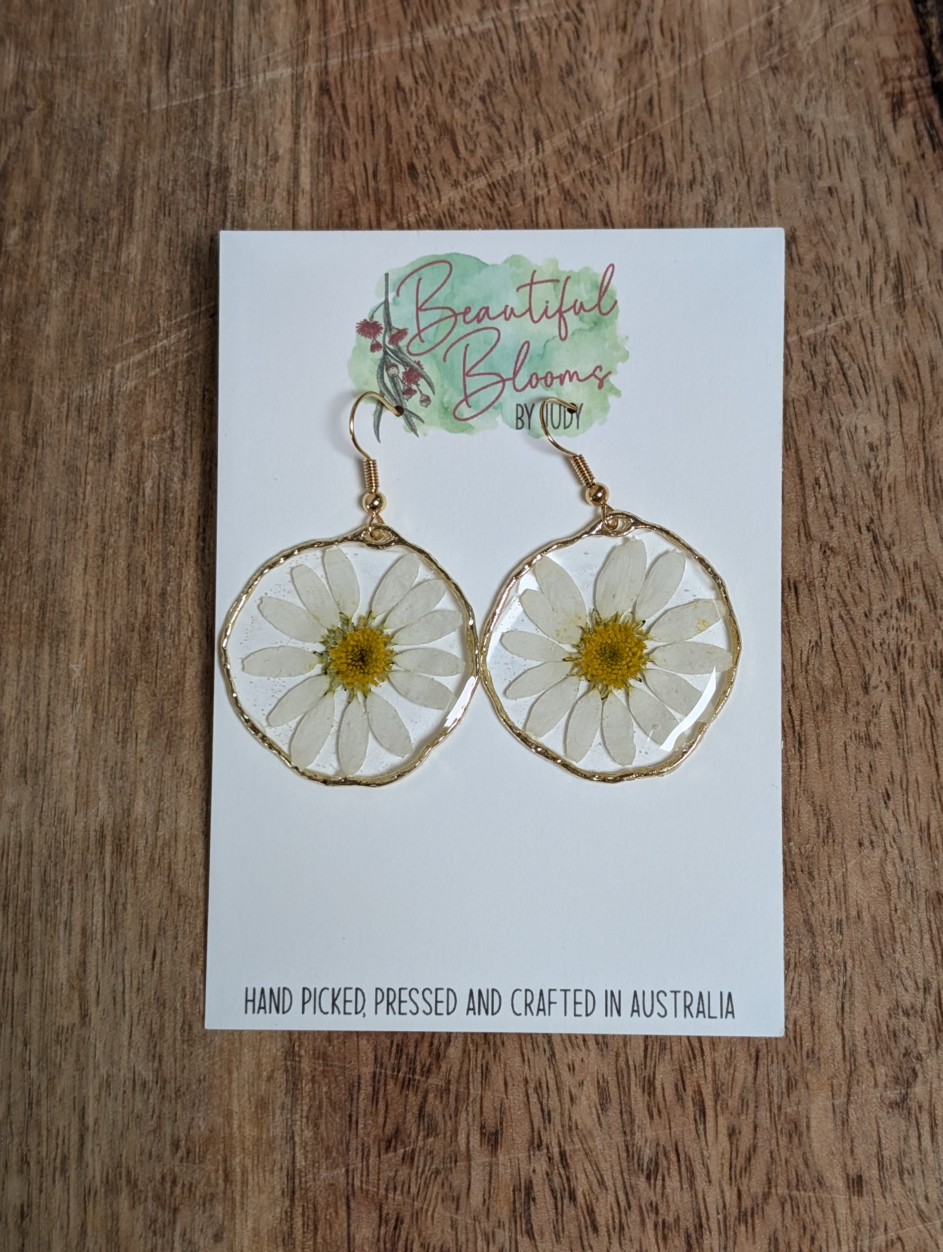 White daisies, real flowers