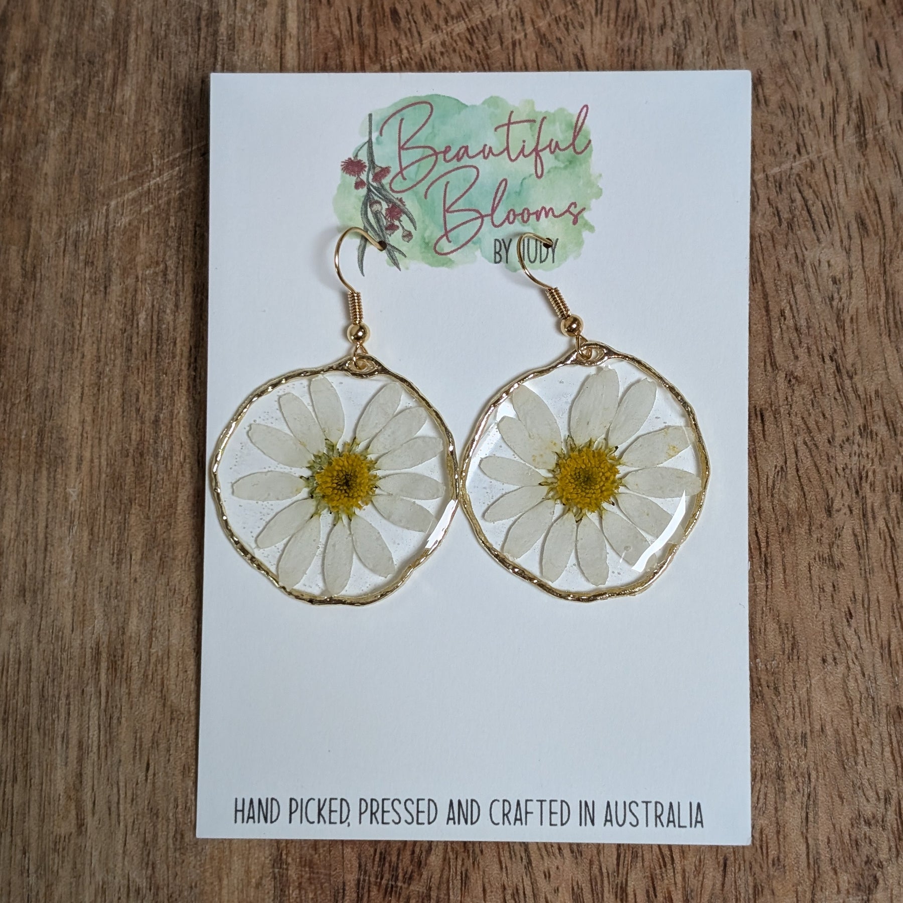 White daisies, real flowers, April birth flower