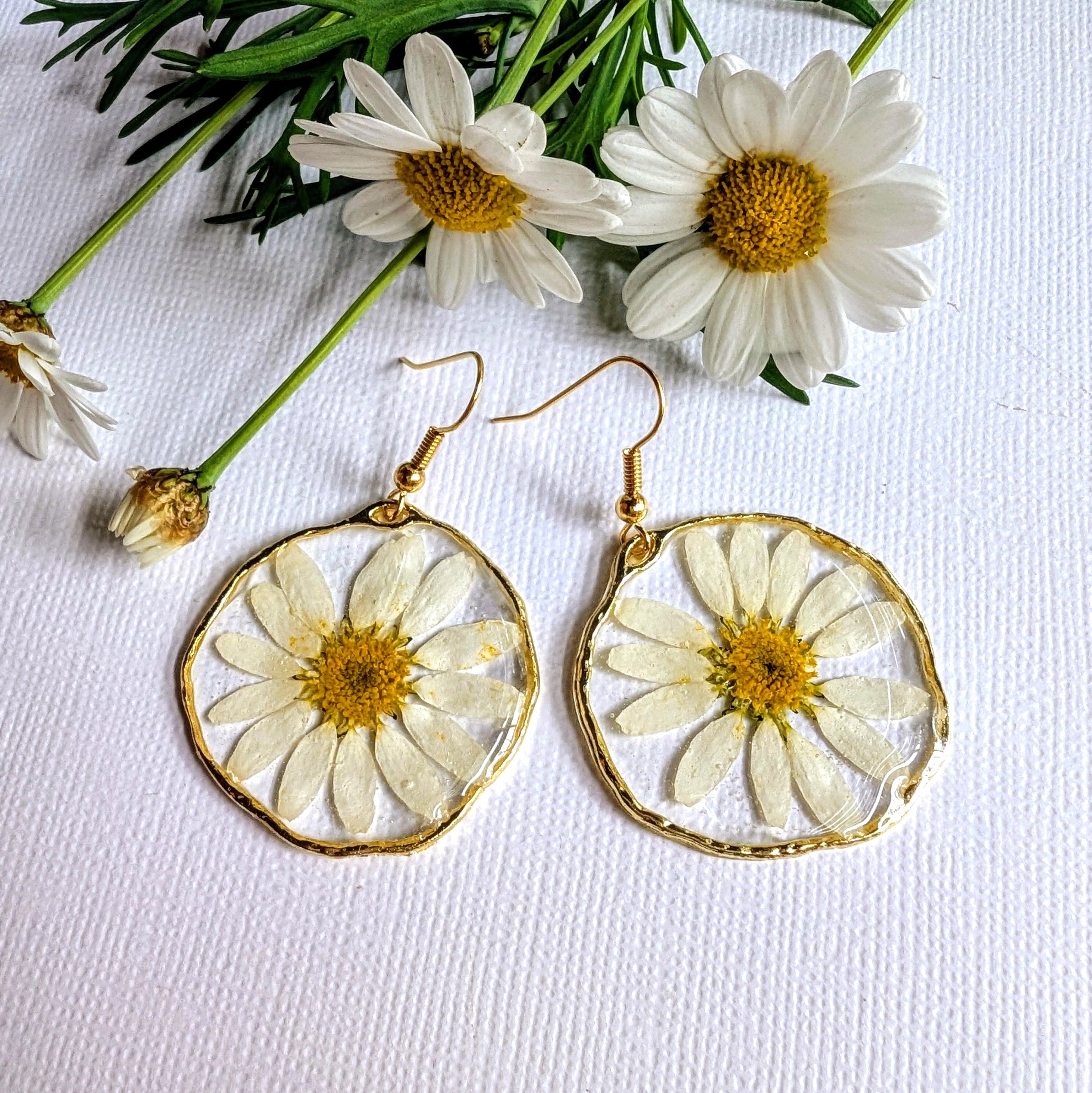 White daisies, real flowers, April birth flower