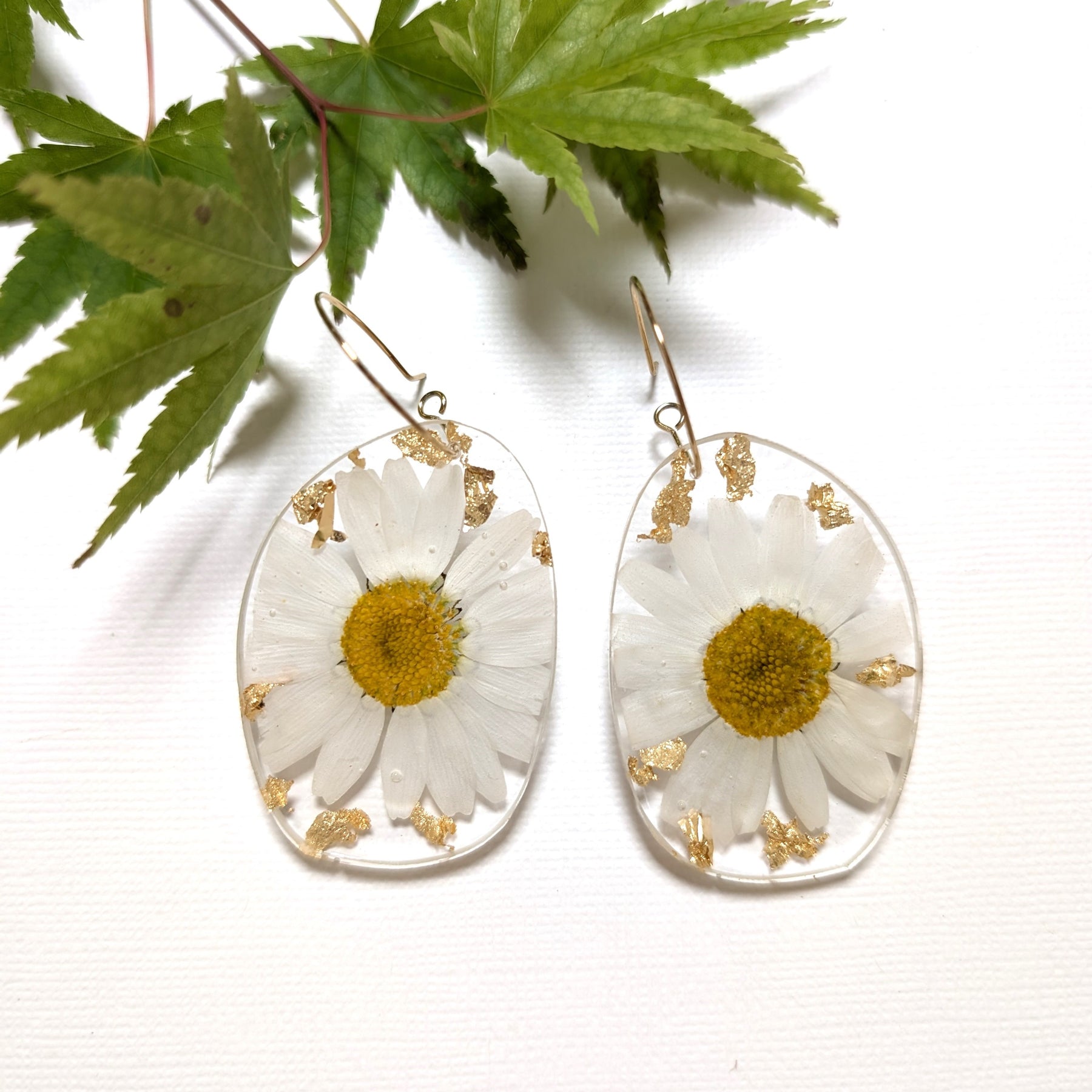 Real flower earrings, white daisies