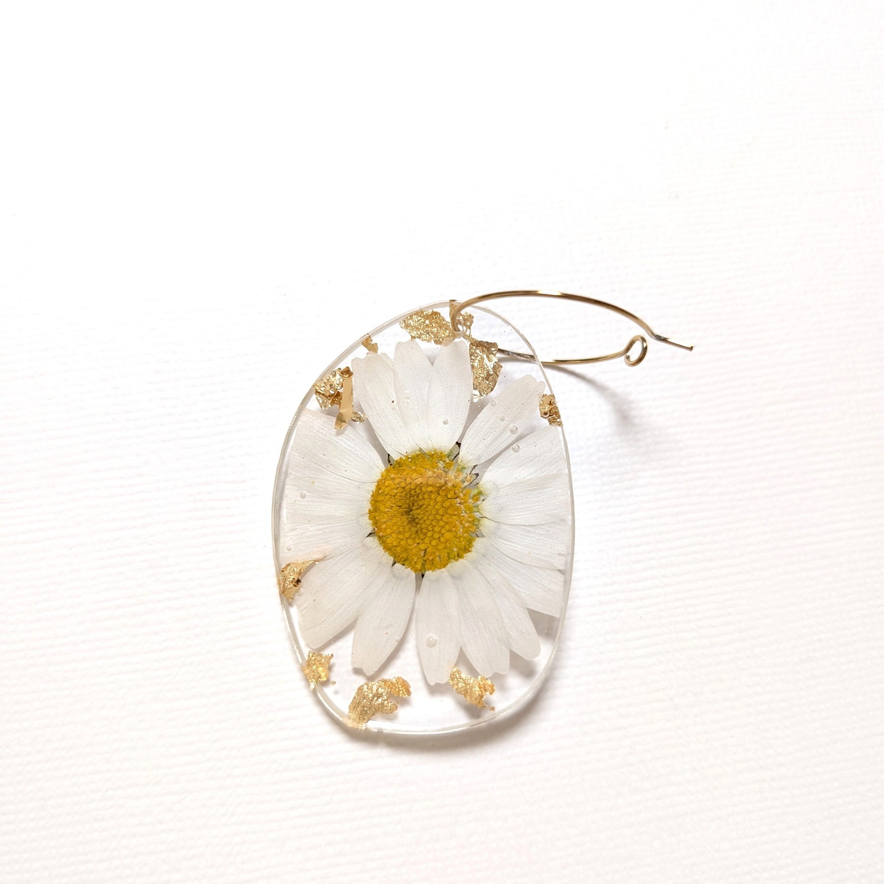 Real flower earrings, white daisies