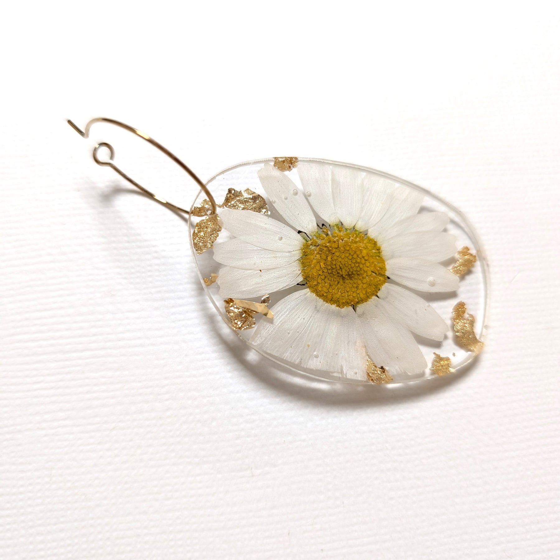 Real flower earrings, white daisies