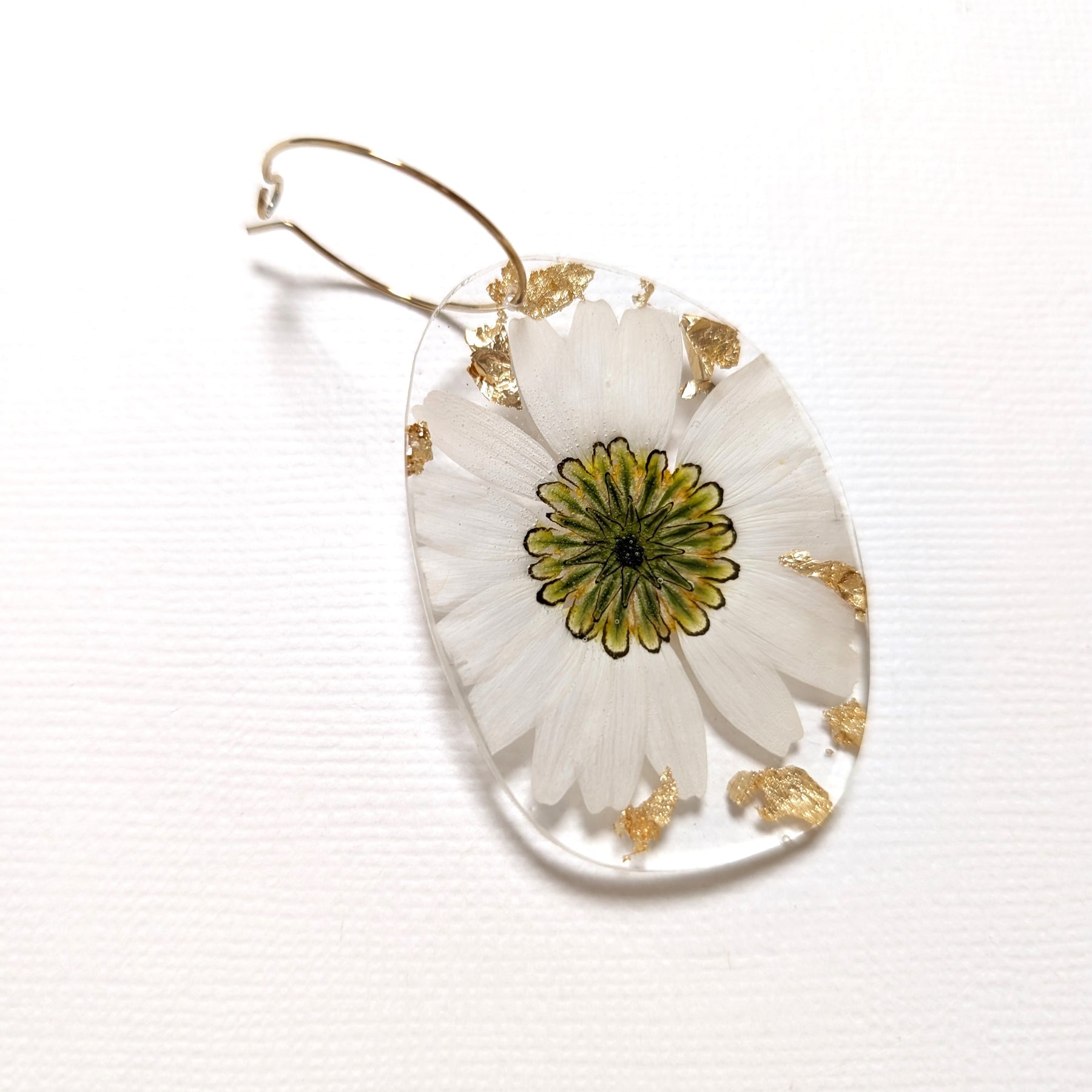 Real flower earrings, white daisies