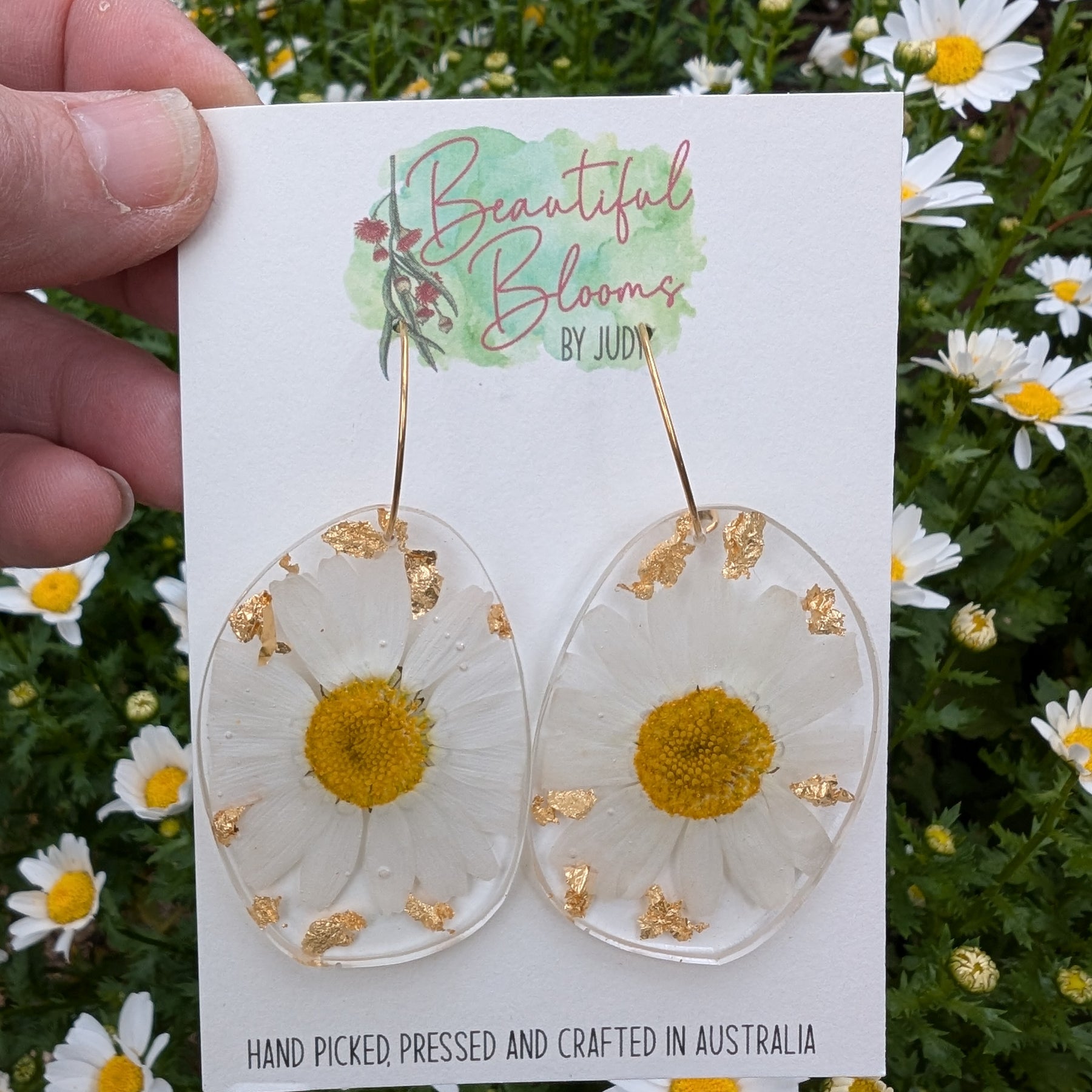 Real flower earrings, white daisies