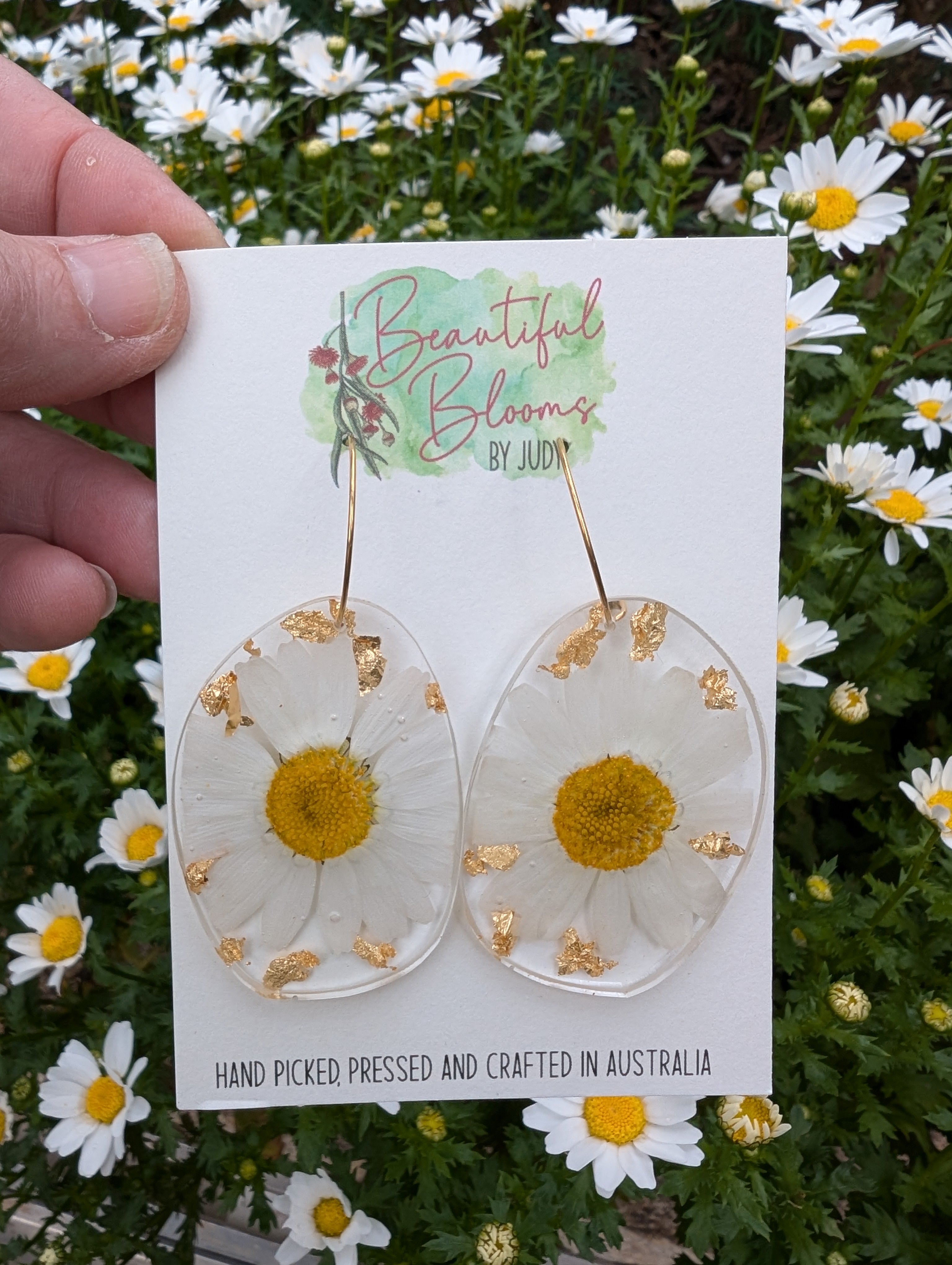 Real flower earrings, white daisies