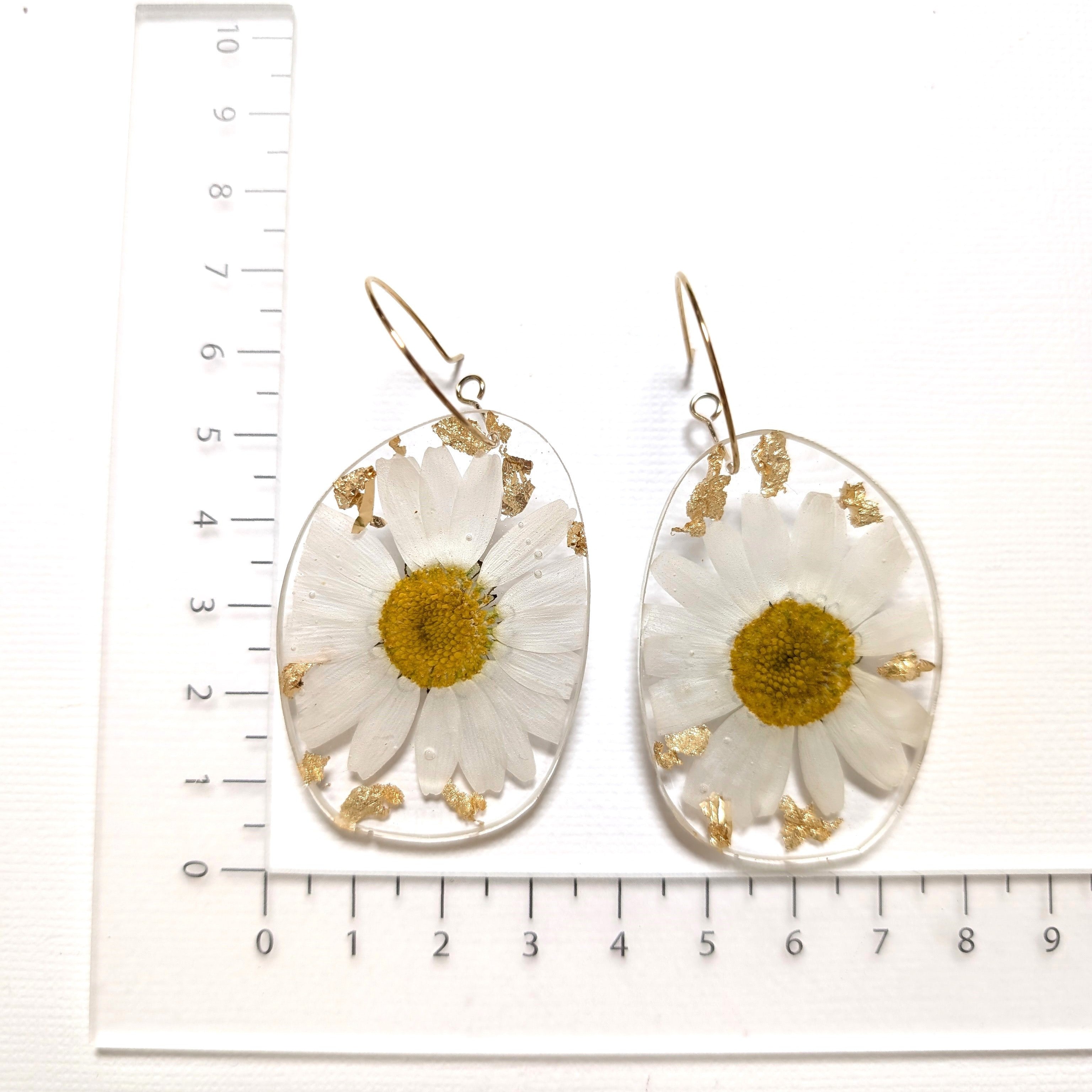 Real flower earrings, white daisies