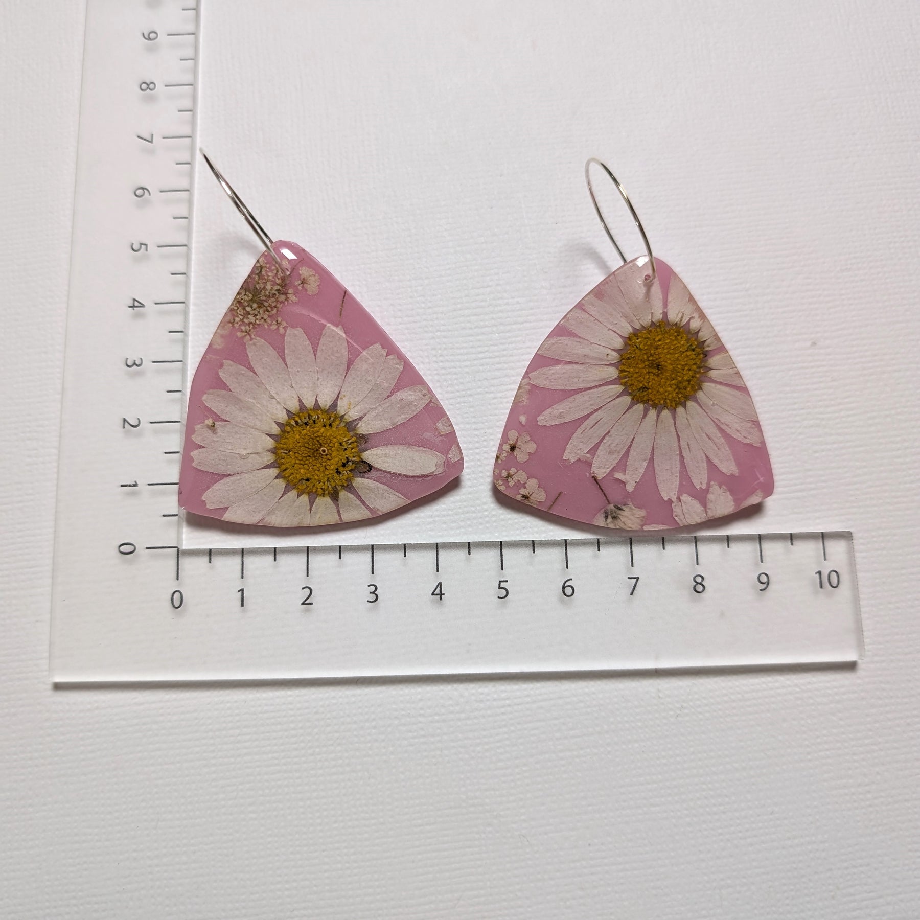 Real daisies in resin