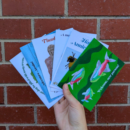 Occasions - set of 6 greeting cards