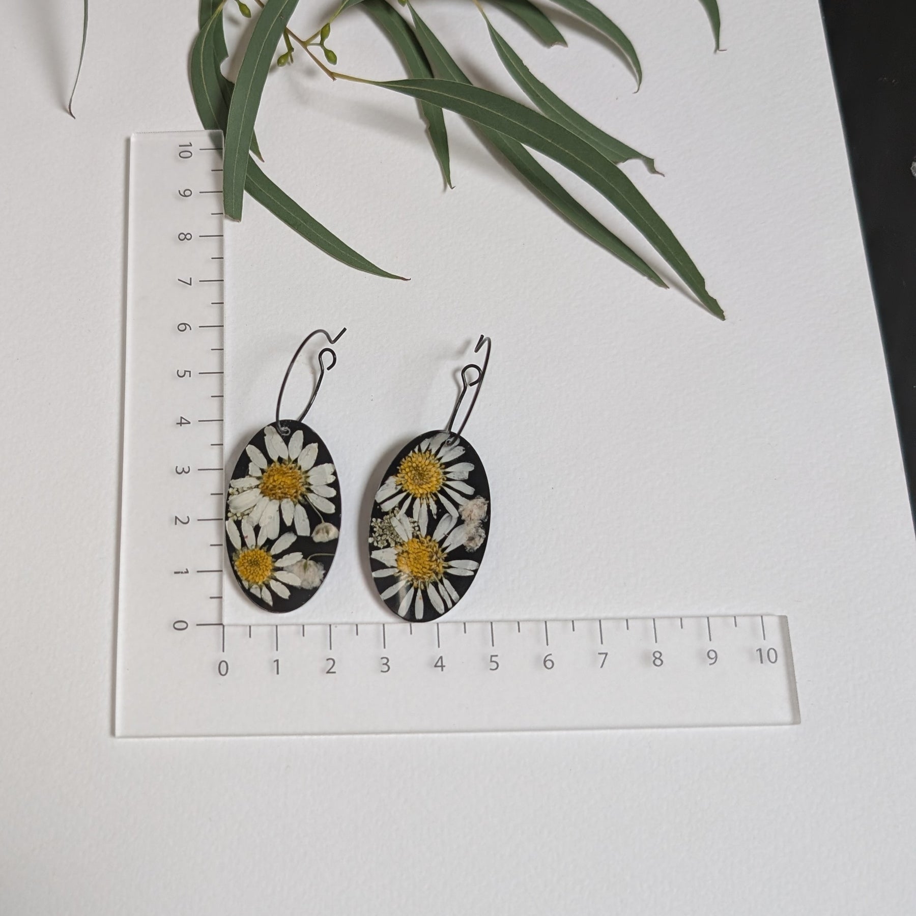 Real flower earrings, daisies, black background