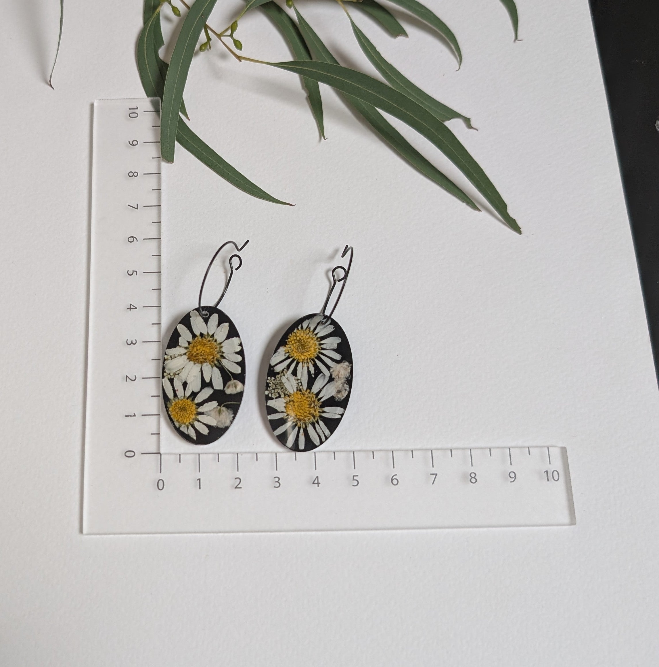 Real flower earrings, daisies, black background