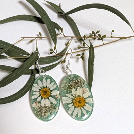 Real flowers, white daisies, oval, sage green