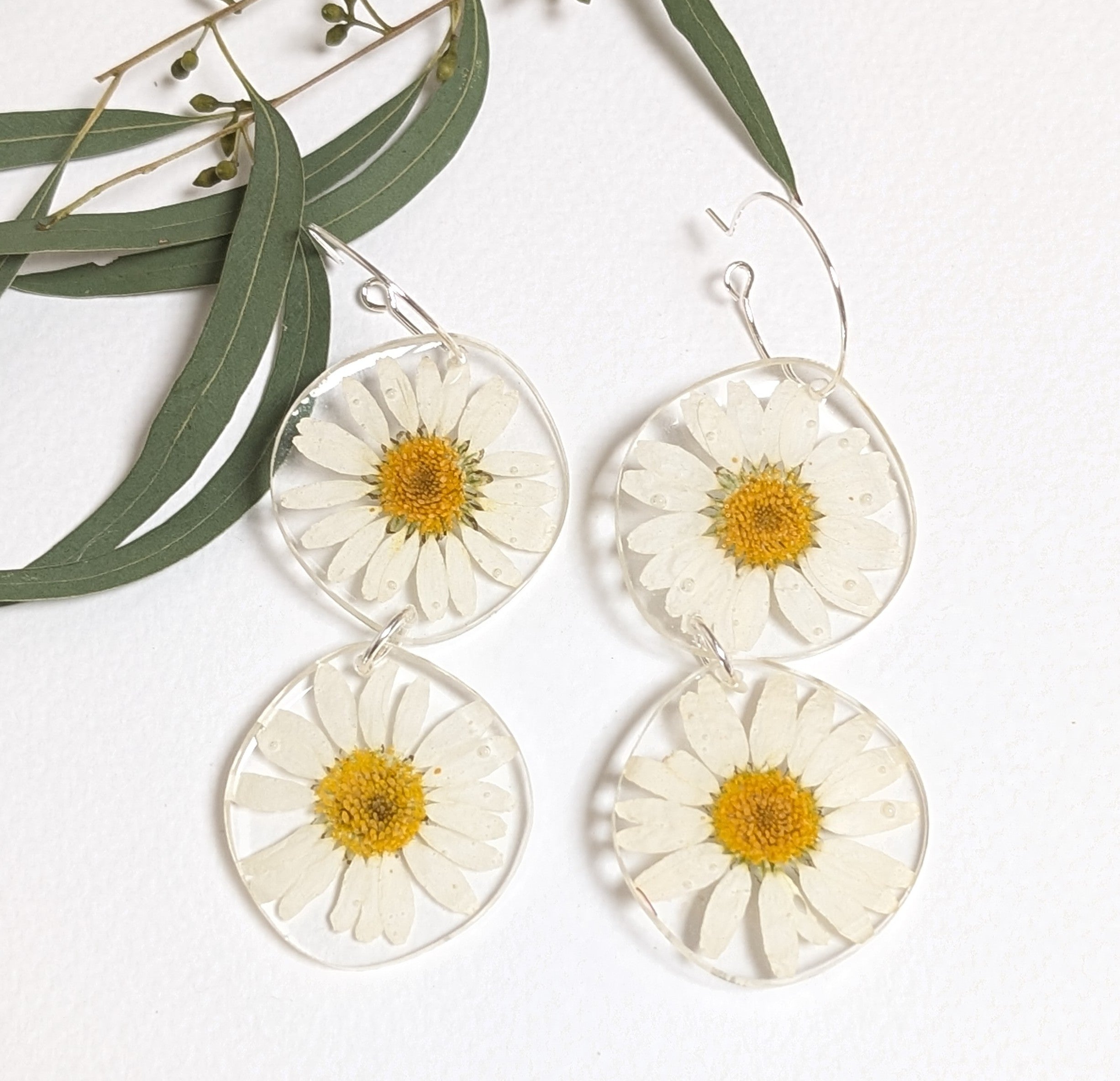 Real daisy statement earrings in resin