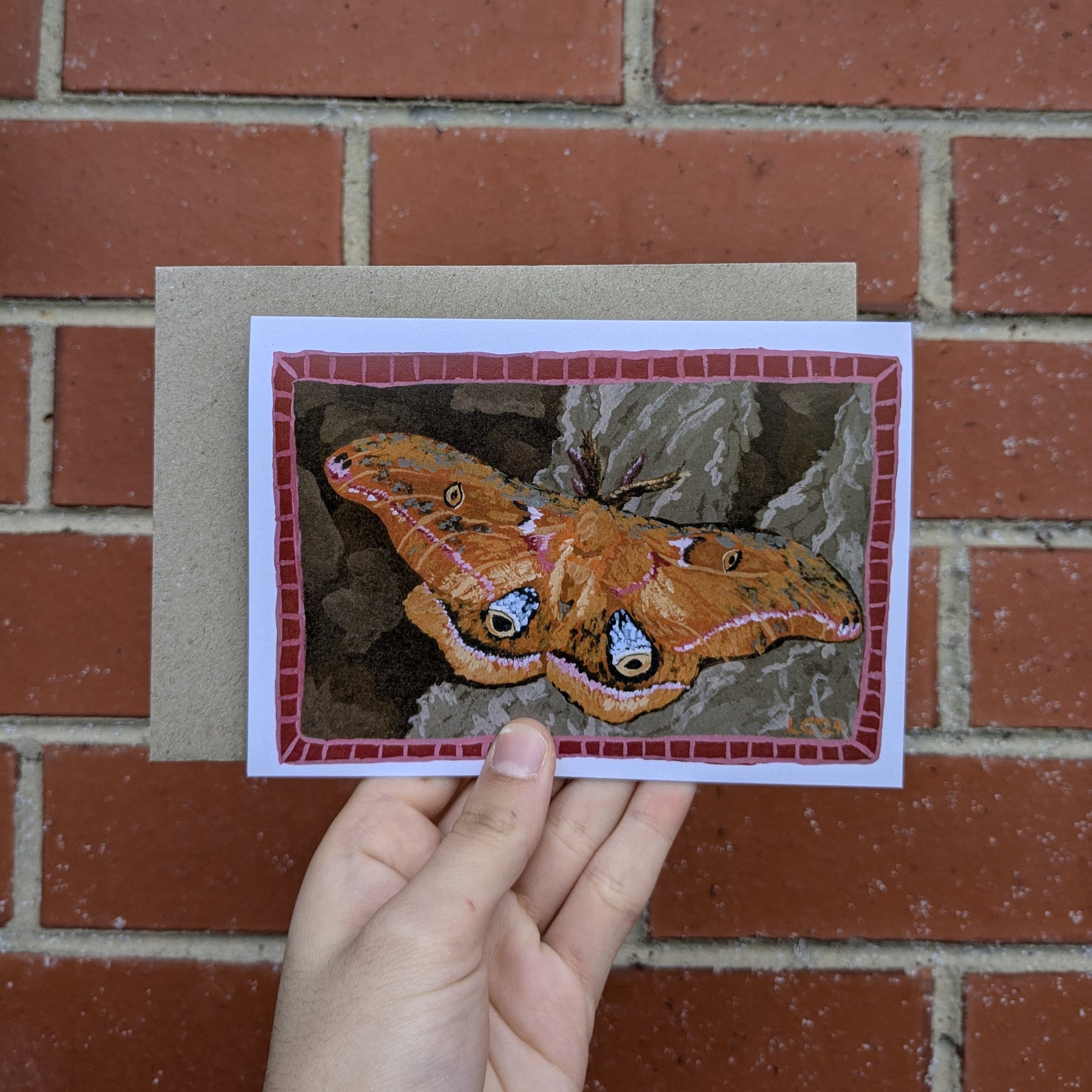 Borders - set of 6 greeting cards