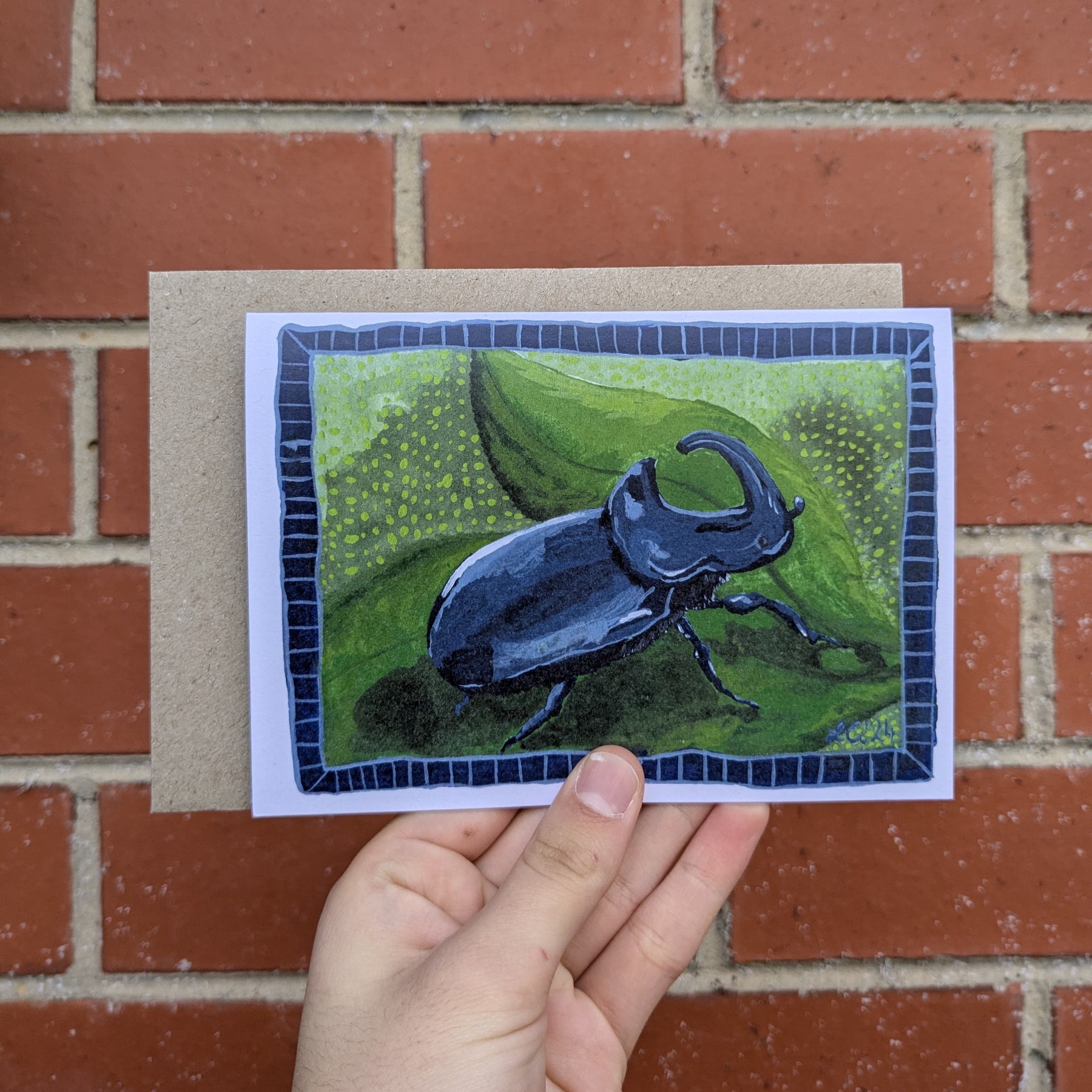 Borders - set of 6 greeting cards