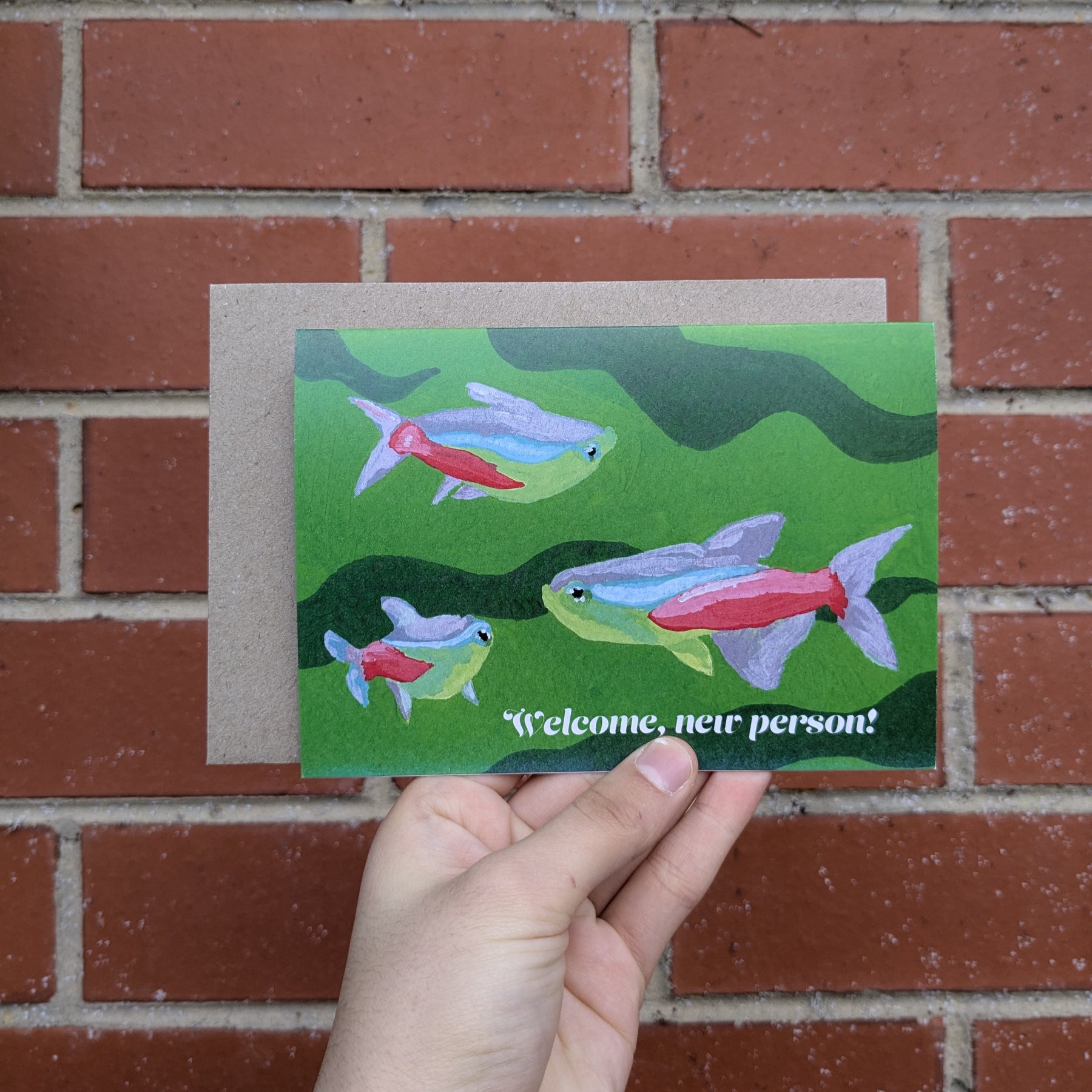 Occasions - set of 6 greeting cards