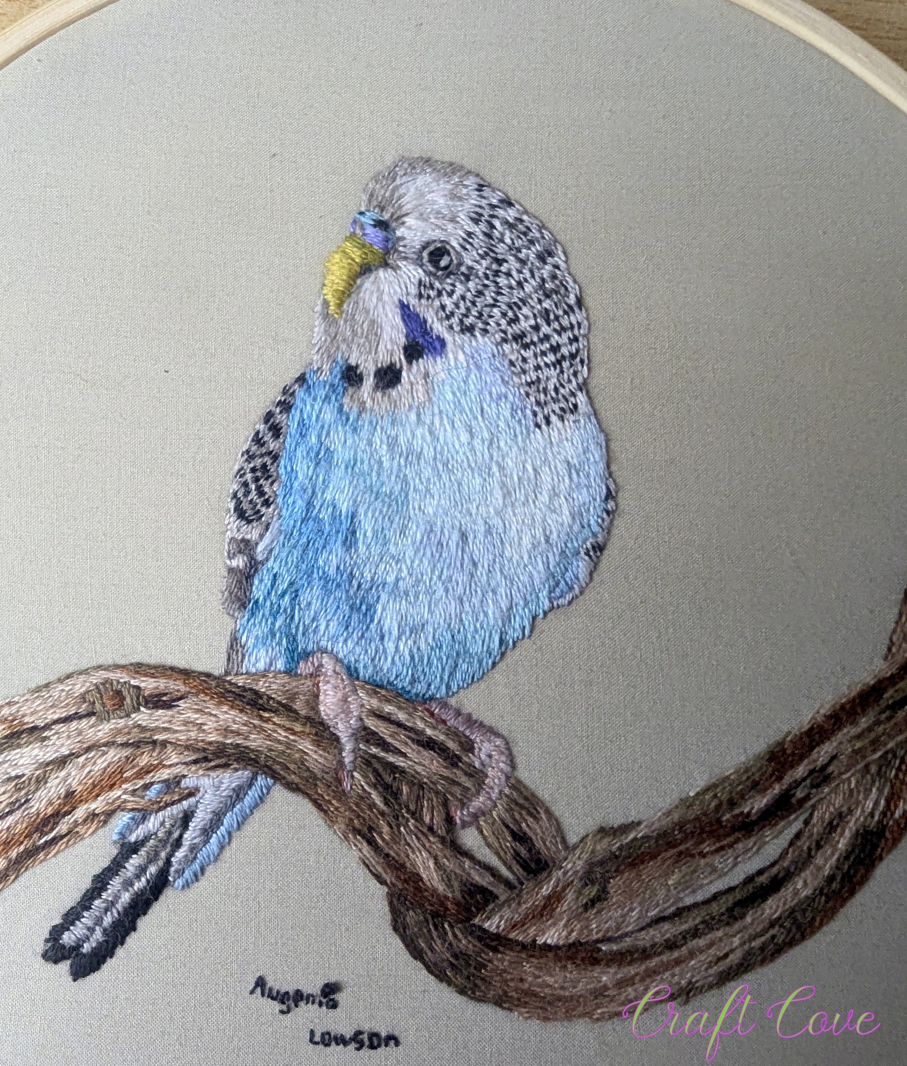 Thread Painted Budgie Embroidery