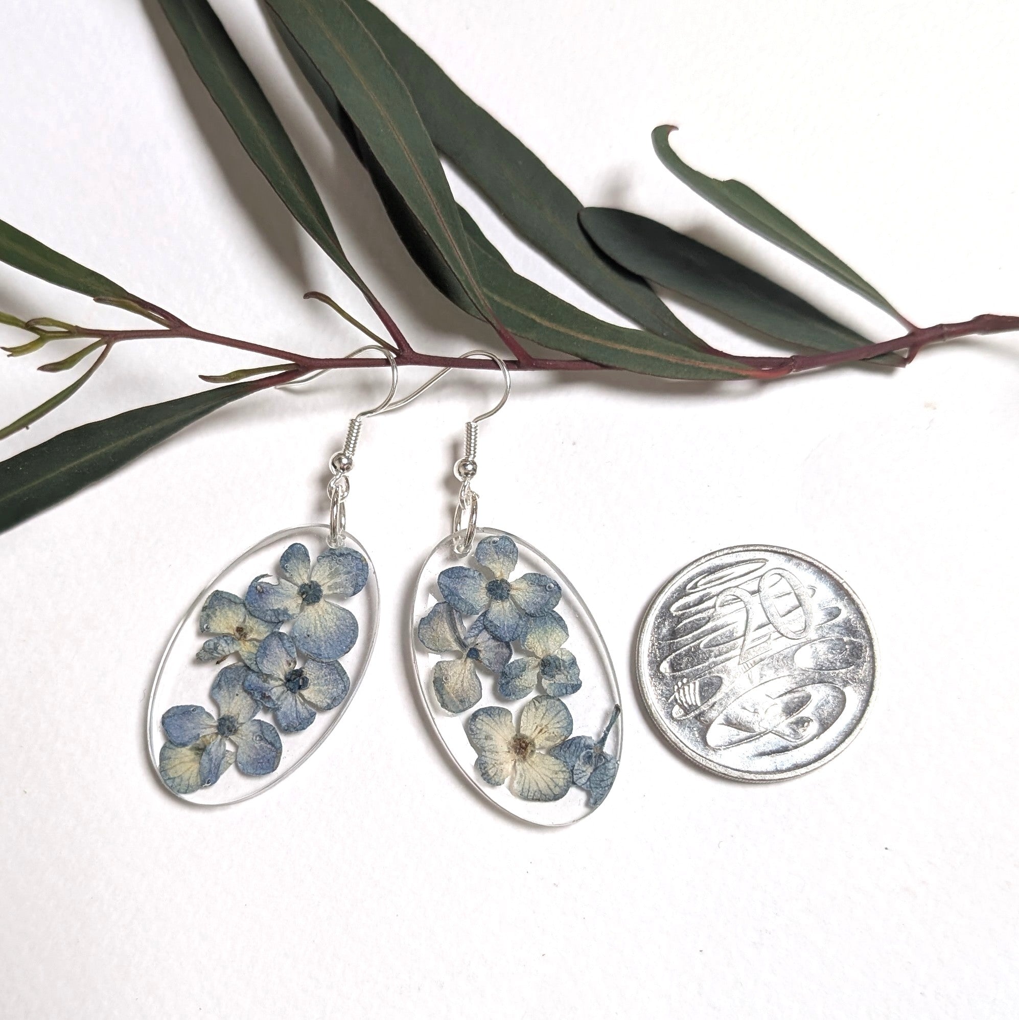 Real pressed flowers, blue hydrangeas