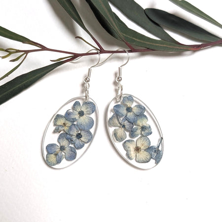 Real pressed flowers, blue hydrangeas