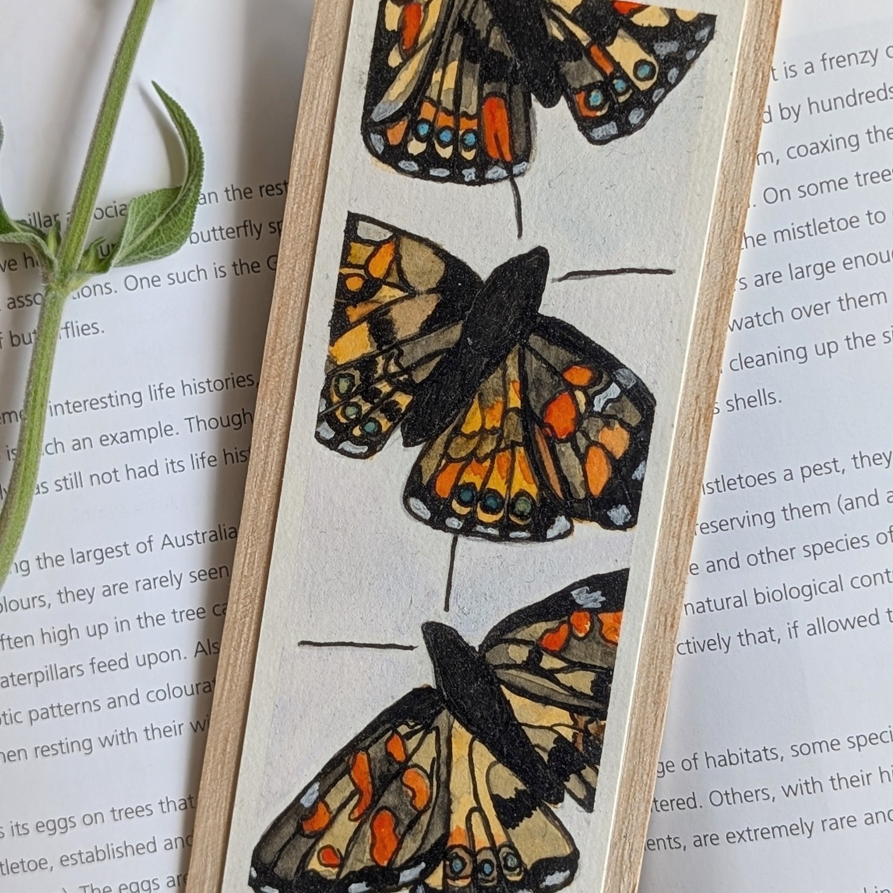Hand-Painted Insect Bookmark Set – Sustainable Australian Gift