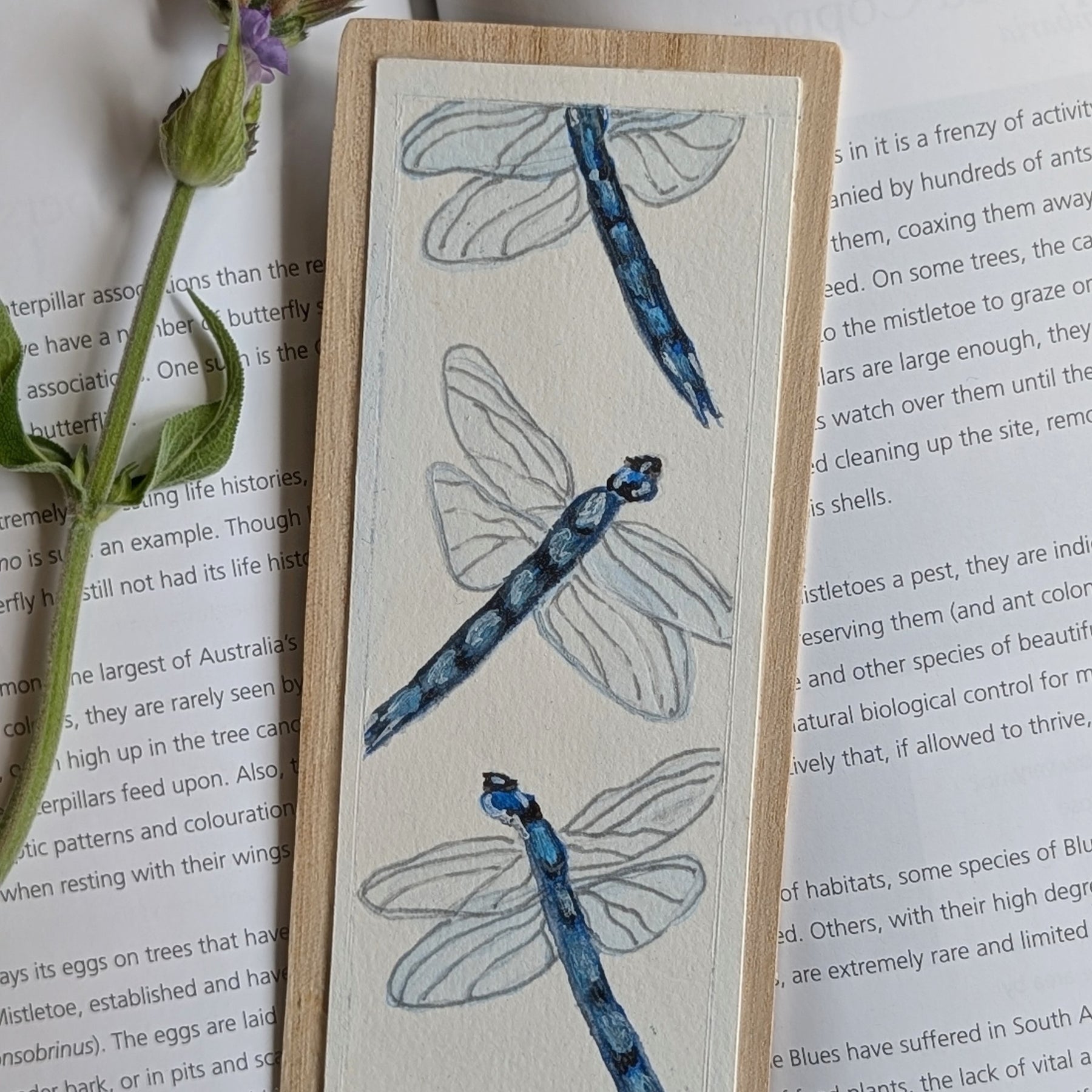 Hand-Painted Insect Bookmark Set – Sustainable Australian Gift