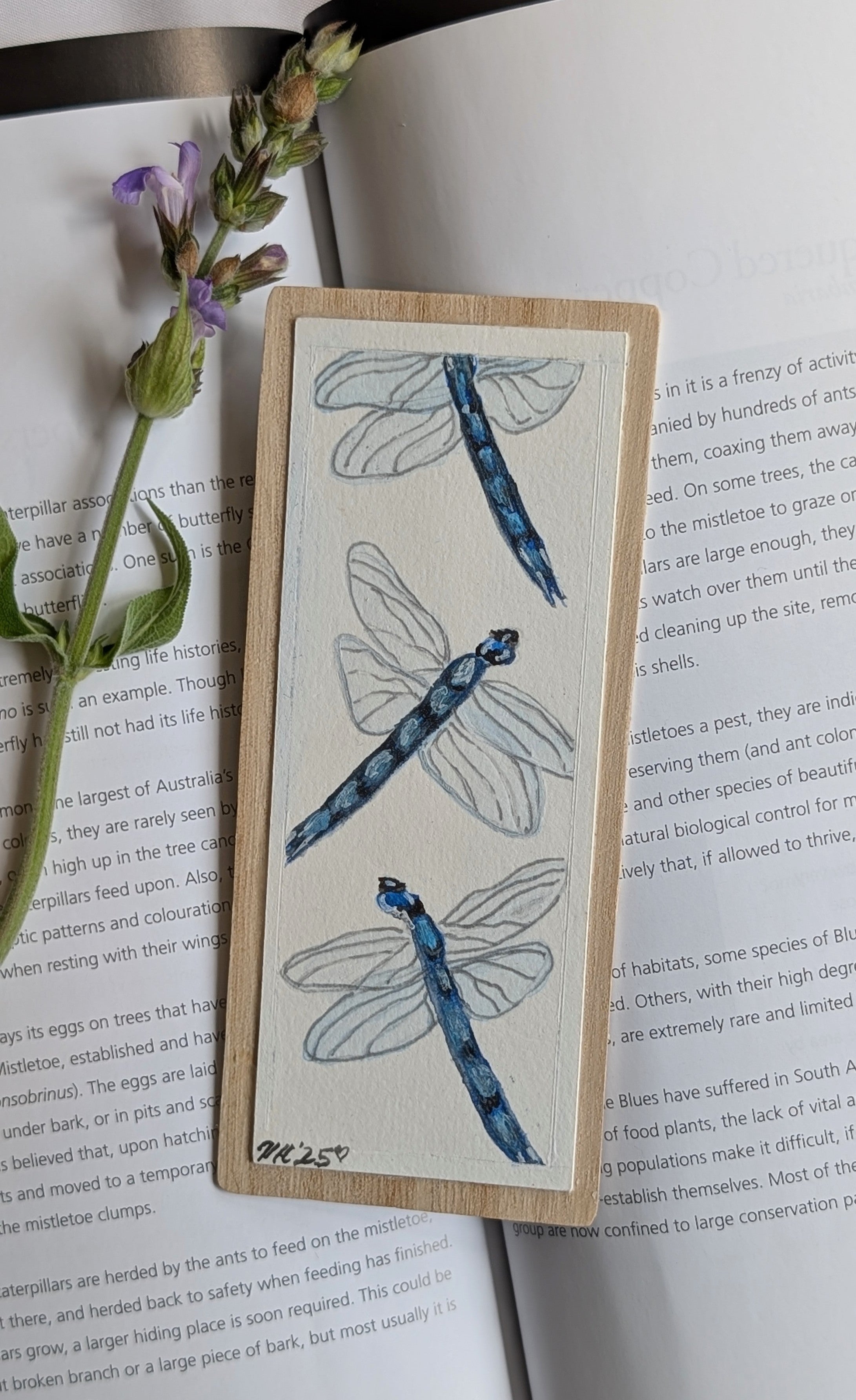 Hand-Painted Insect Bookmark Set – Sustainable Australian Gift