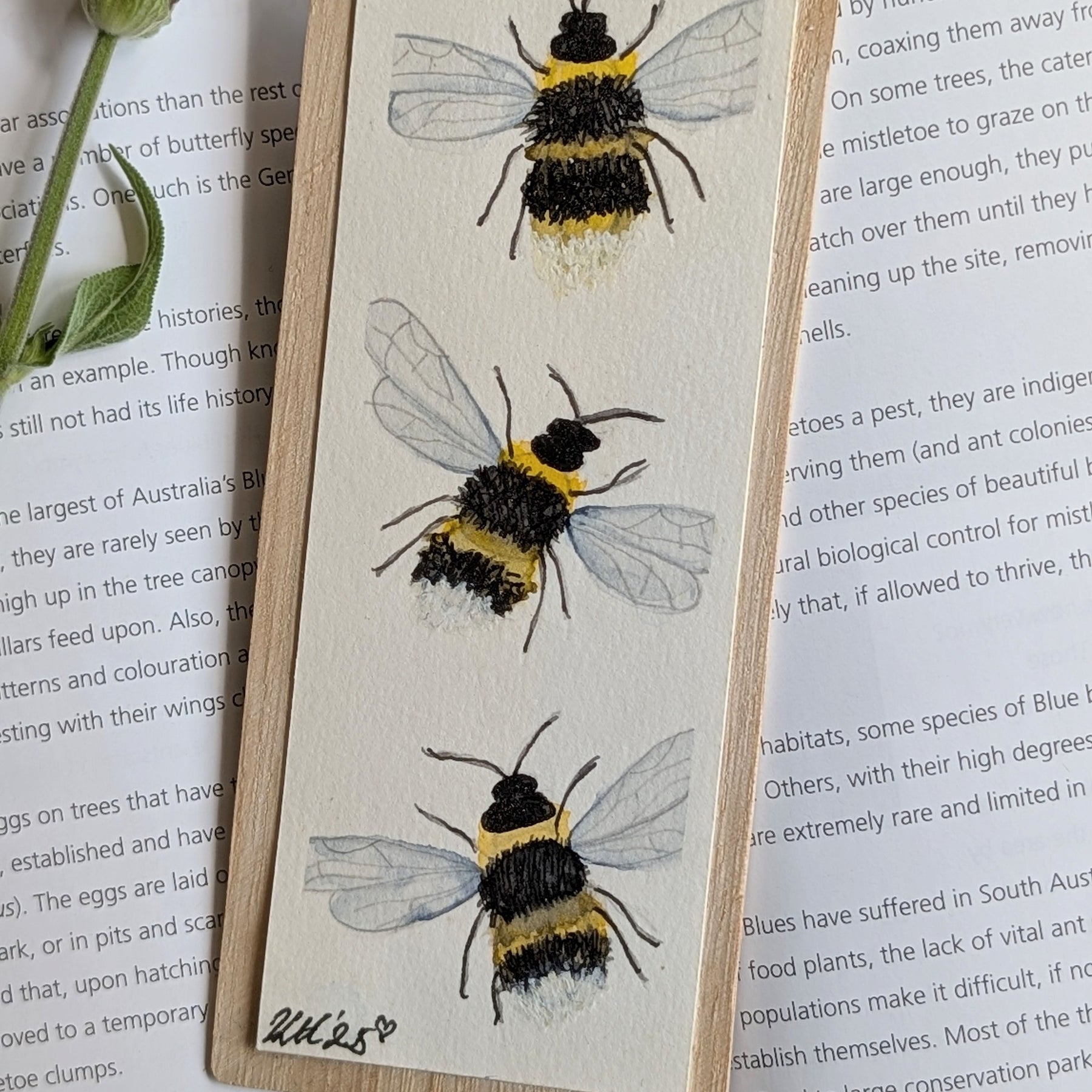Hand-Painted Insect Bookmark Set – Sustainable Australian Gift