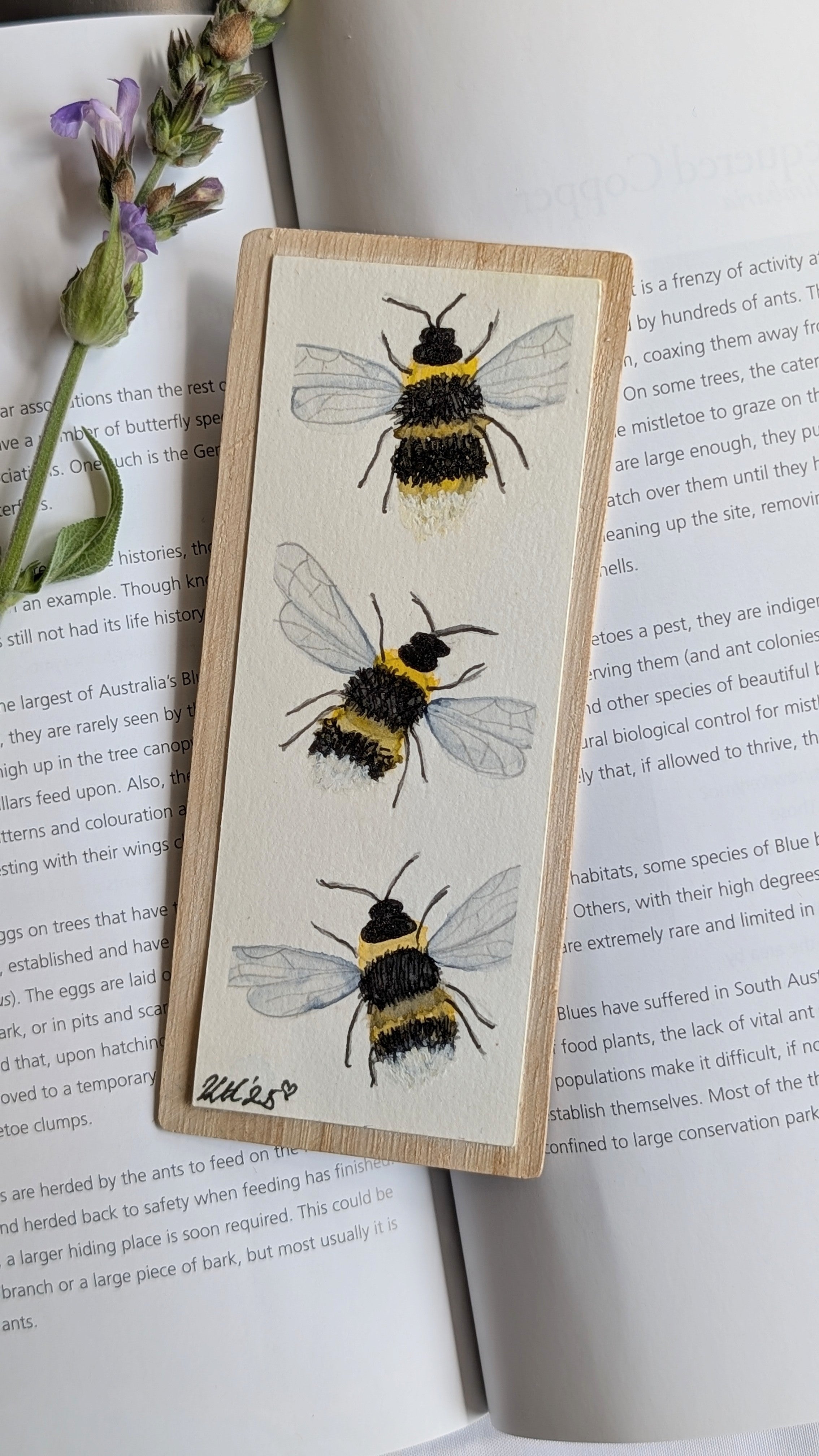 Hand-Painted Insect Bookmark Set – Sustainable Australian Gift