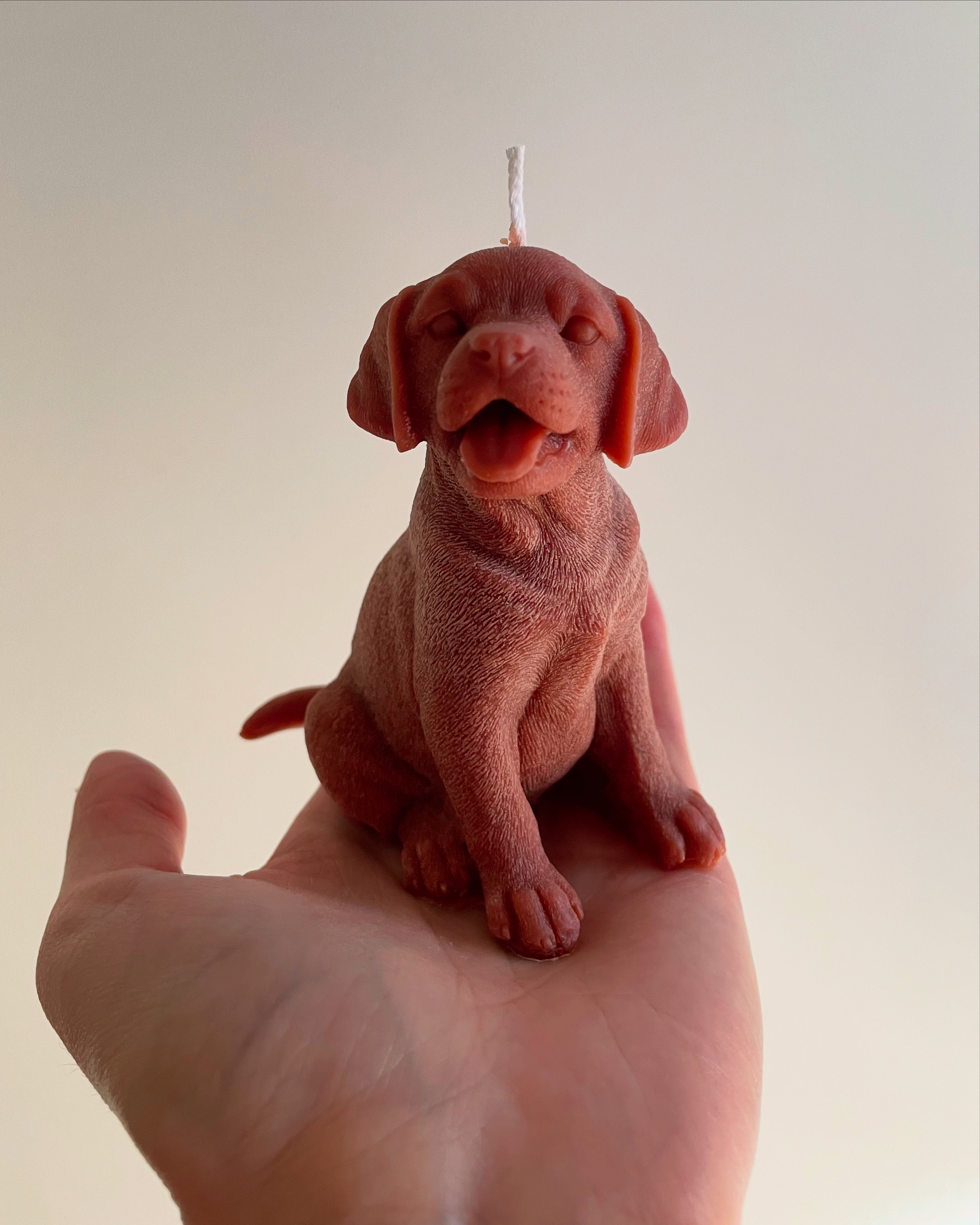 Labrador Pillar Candle