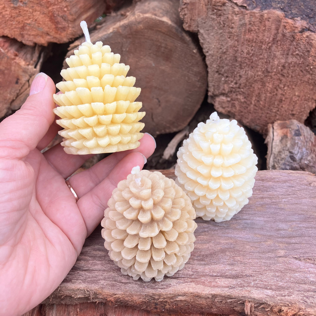 Pinecone Beeswax Candle
