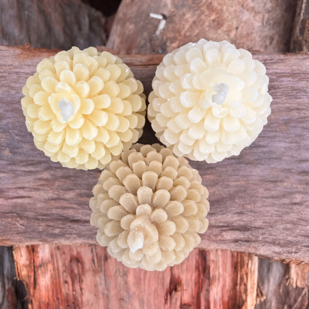 Pinecone Beeswax Candle