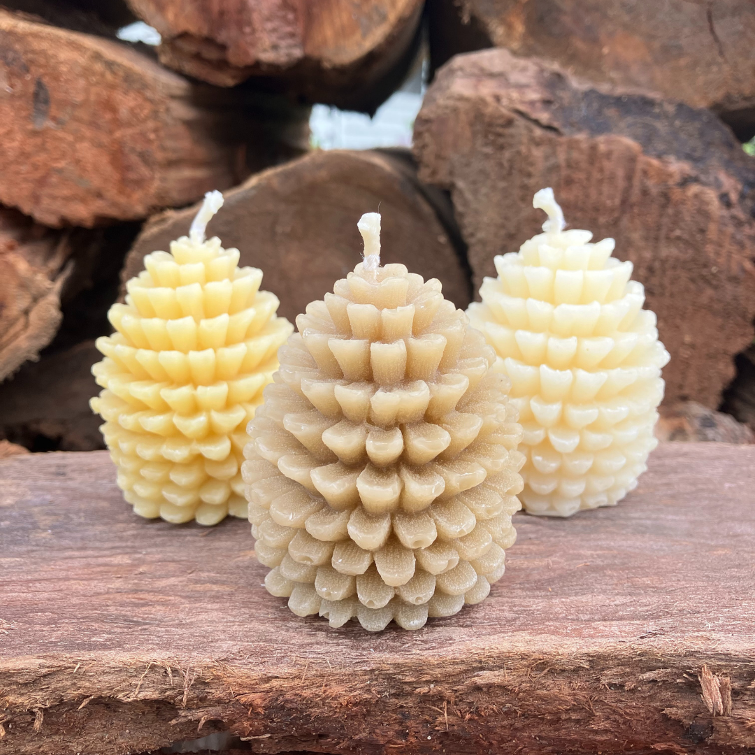 Pinecone Beeswax Candle