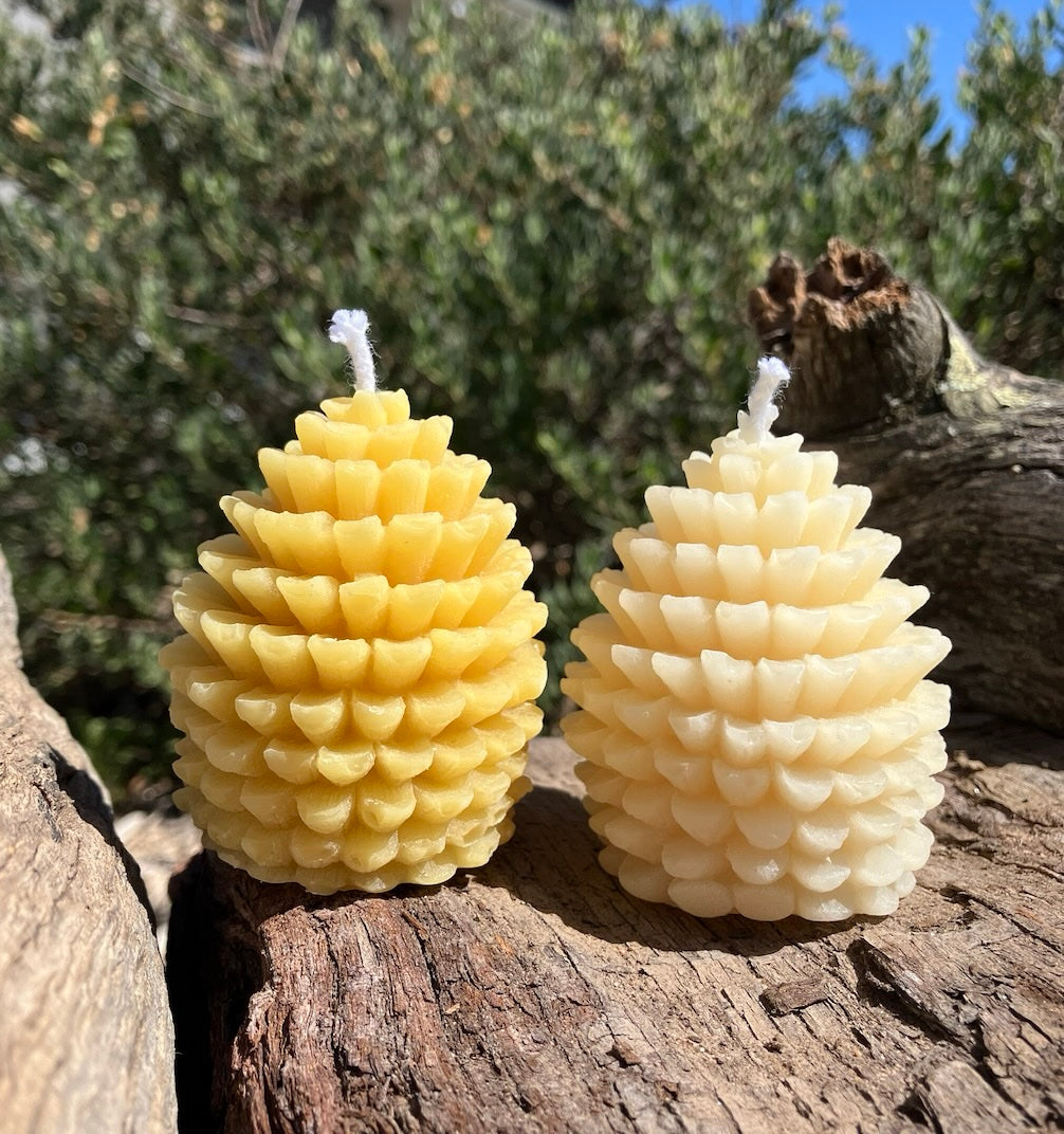 Pinecone Beeswax Candle