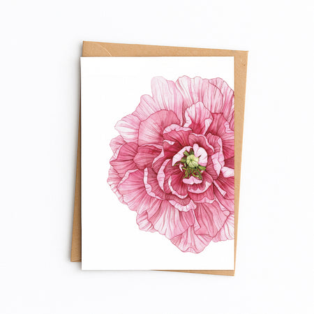 Pink Peony Greetings Card