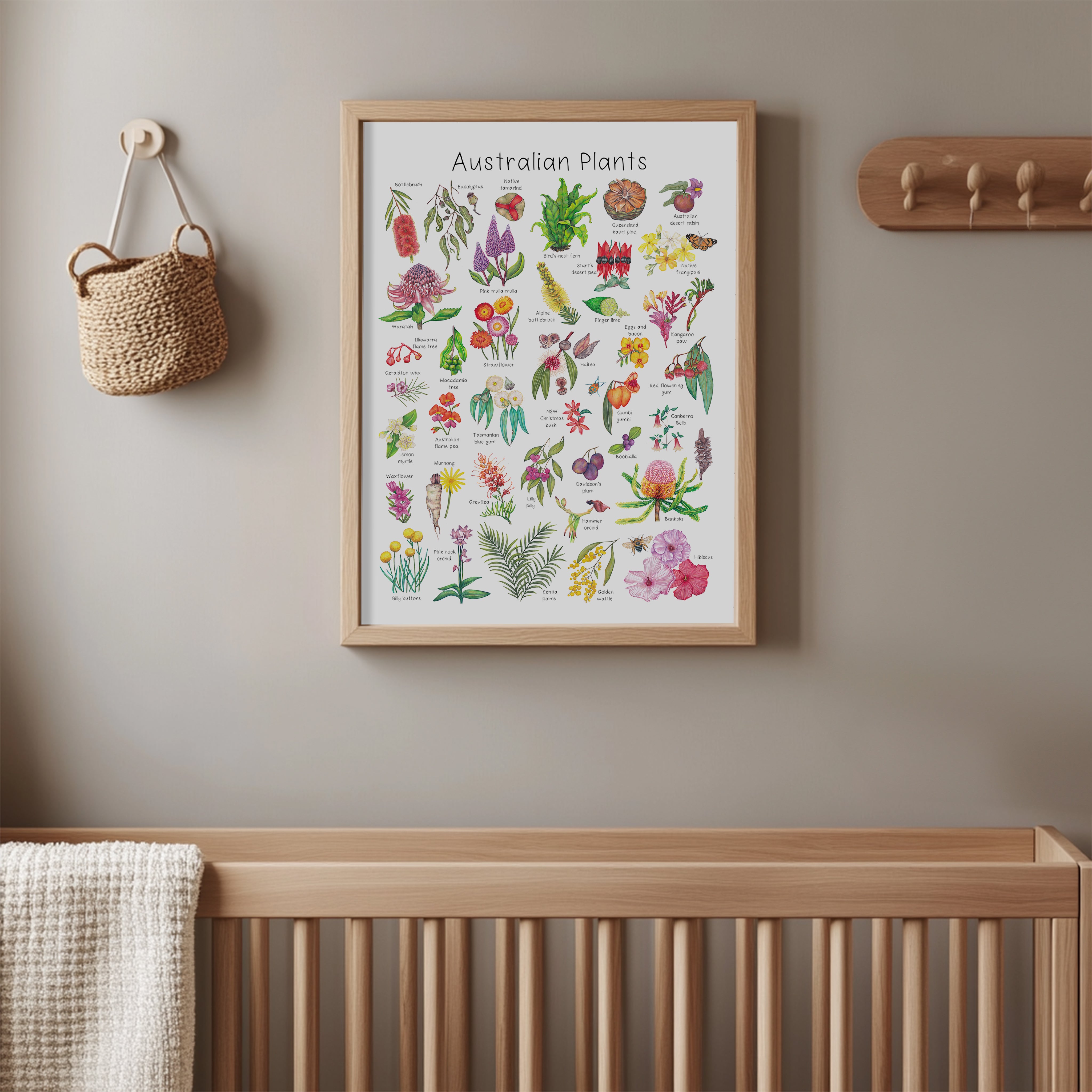 Australian Plants Poster - A3 size