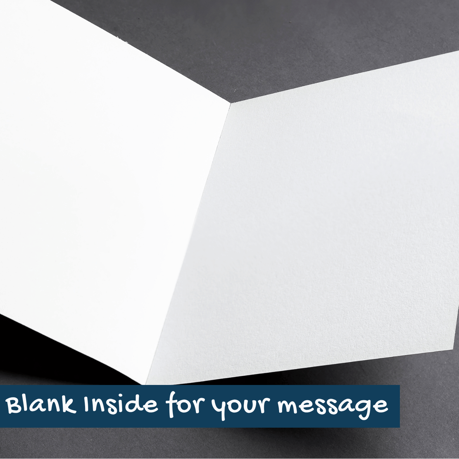 Expressive Australian Bird Greeting Card - Sulphur Crested Cockatoo